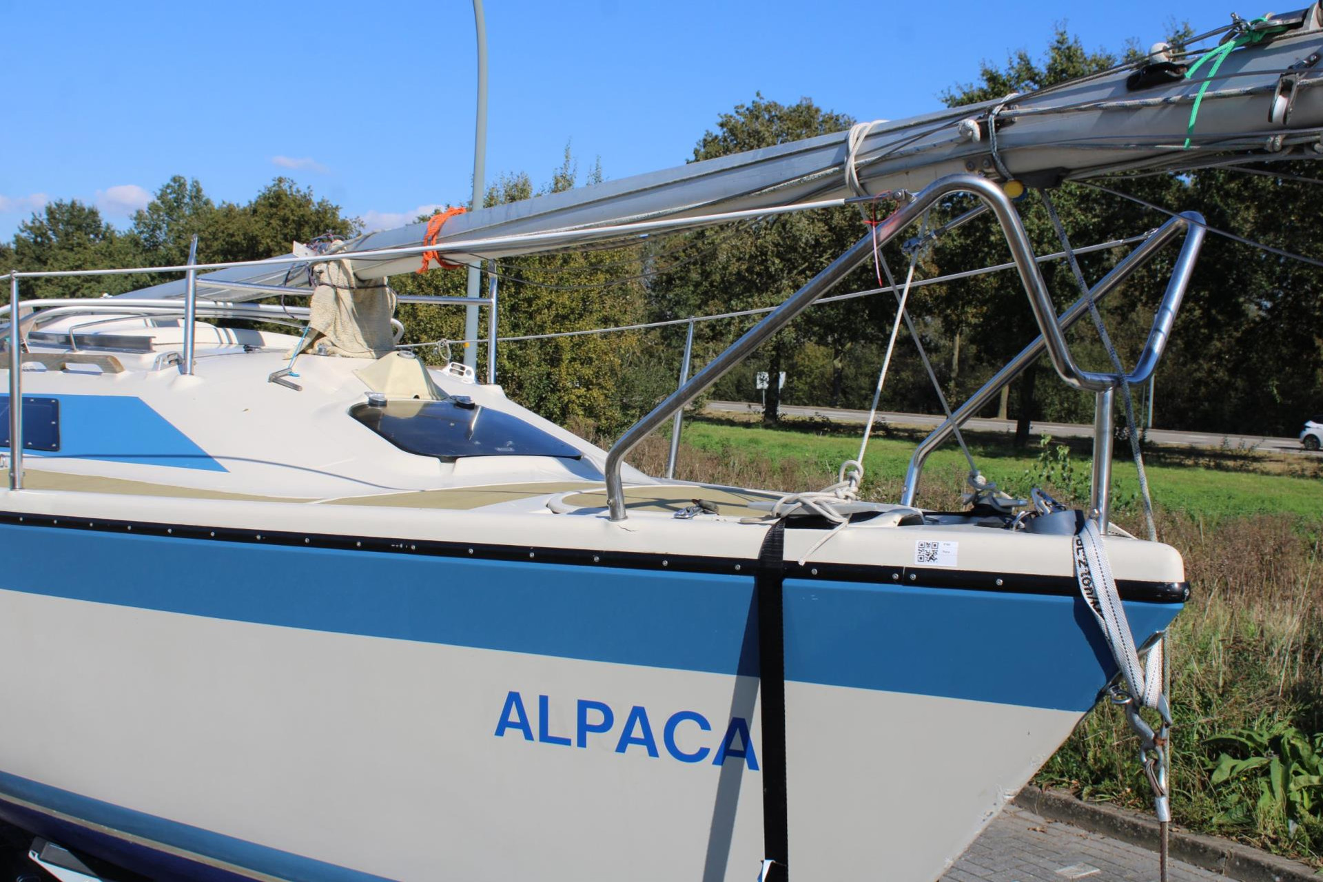 40651881-40.jpg