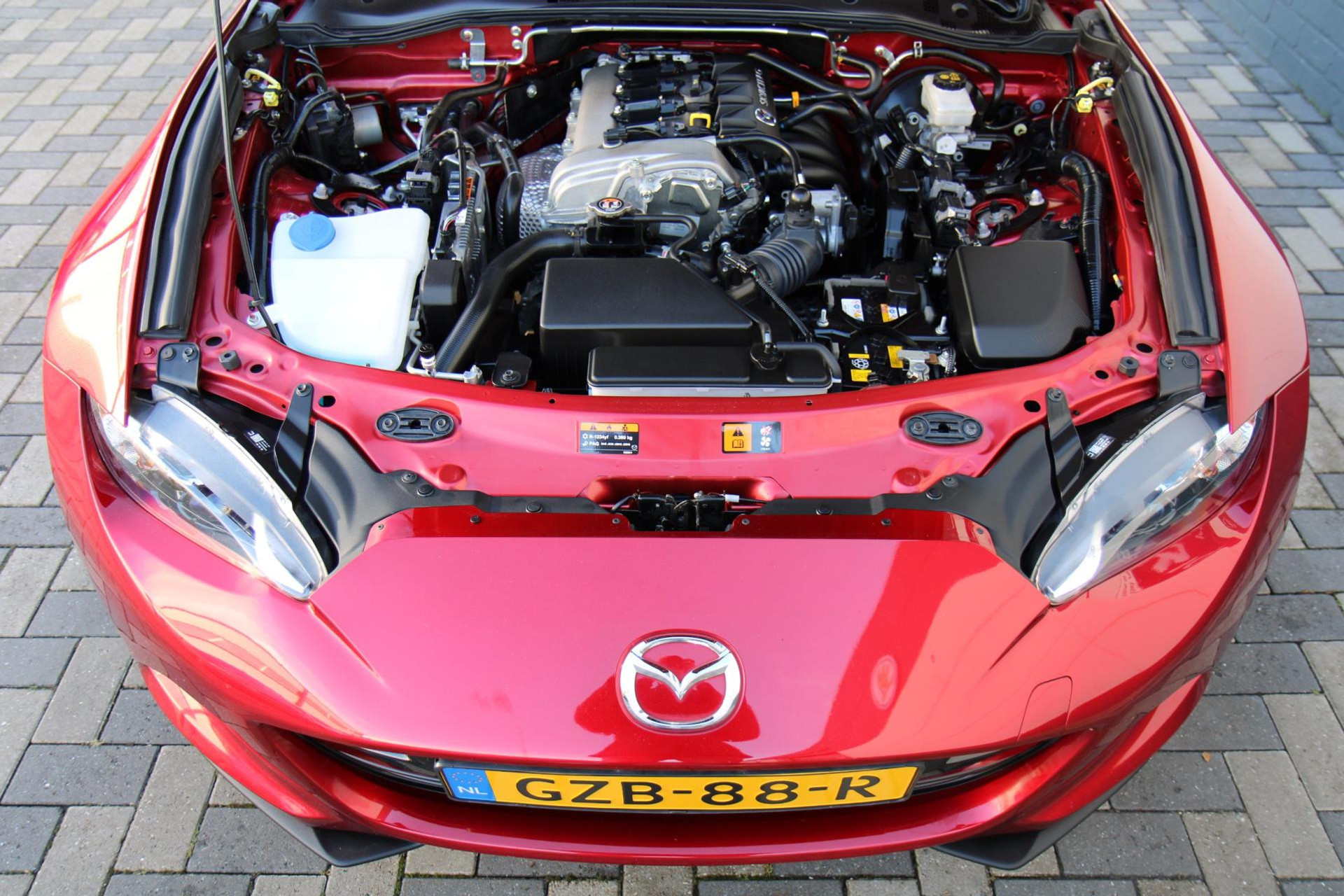 41290895-45.jpg
