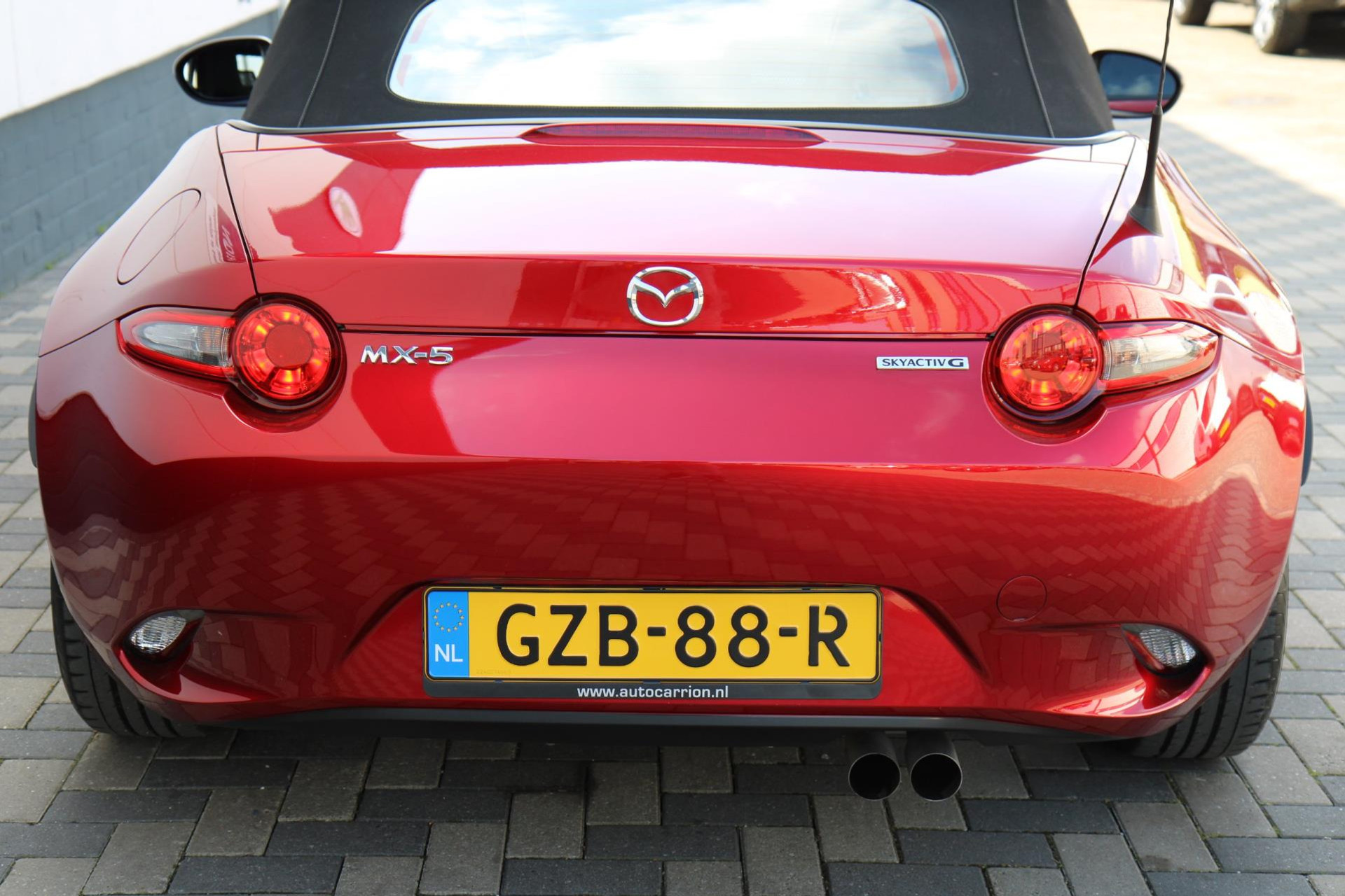 41290895-75.jpg