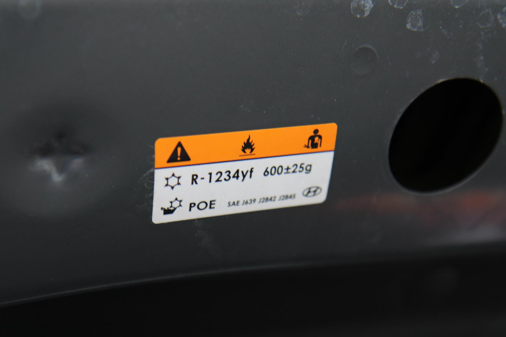 42026008-59.jpg