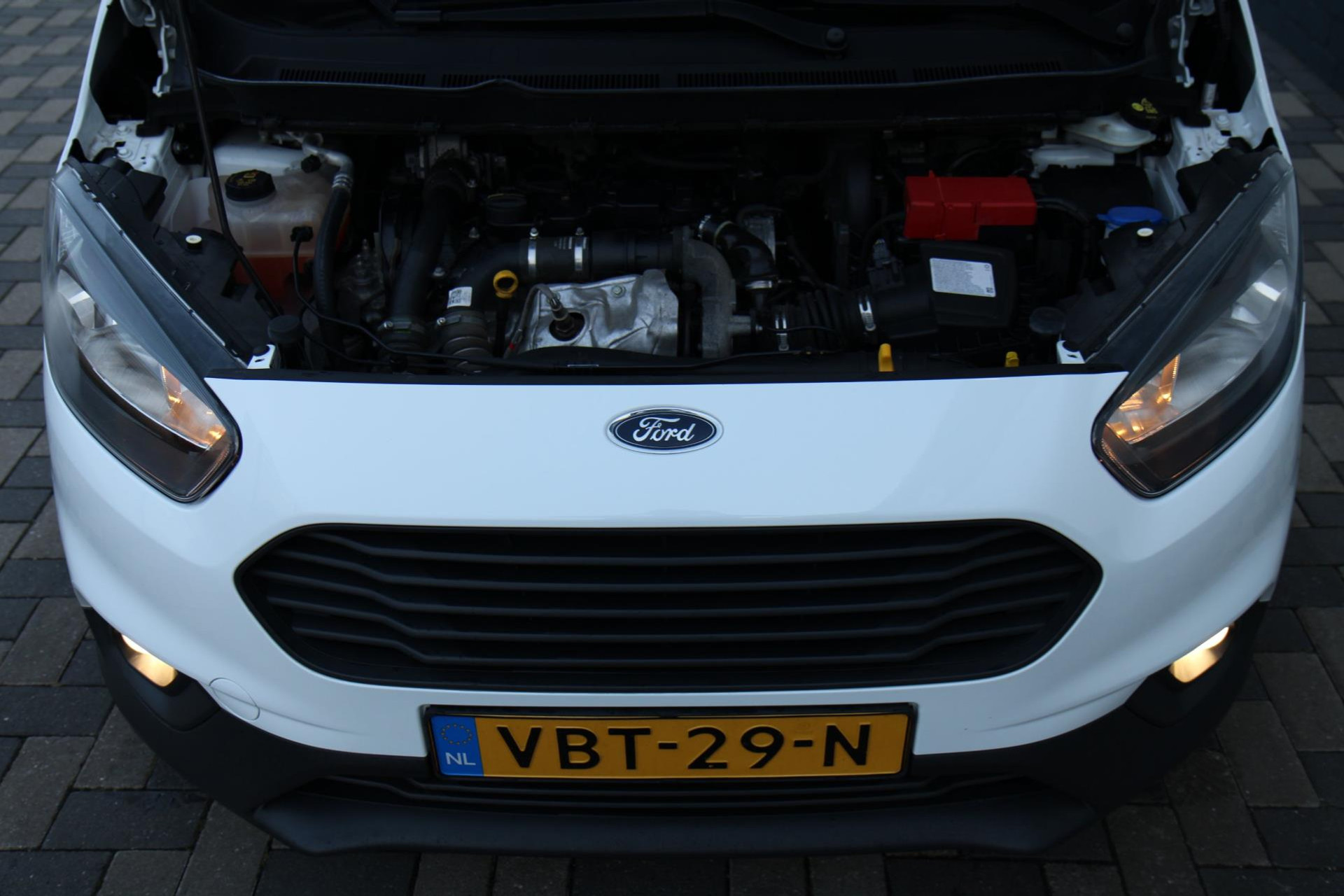 42174690-44.jpg