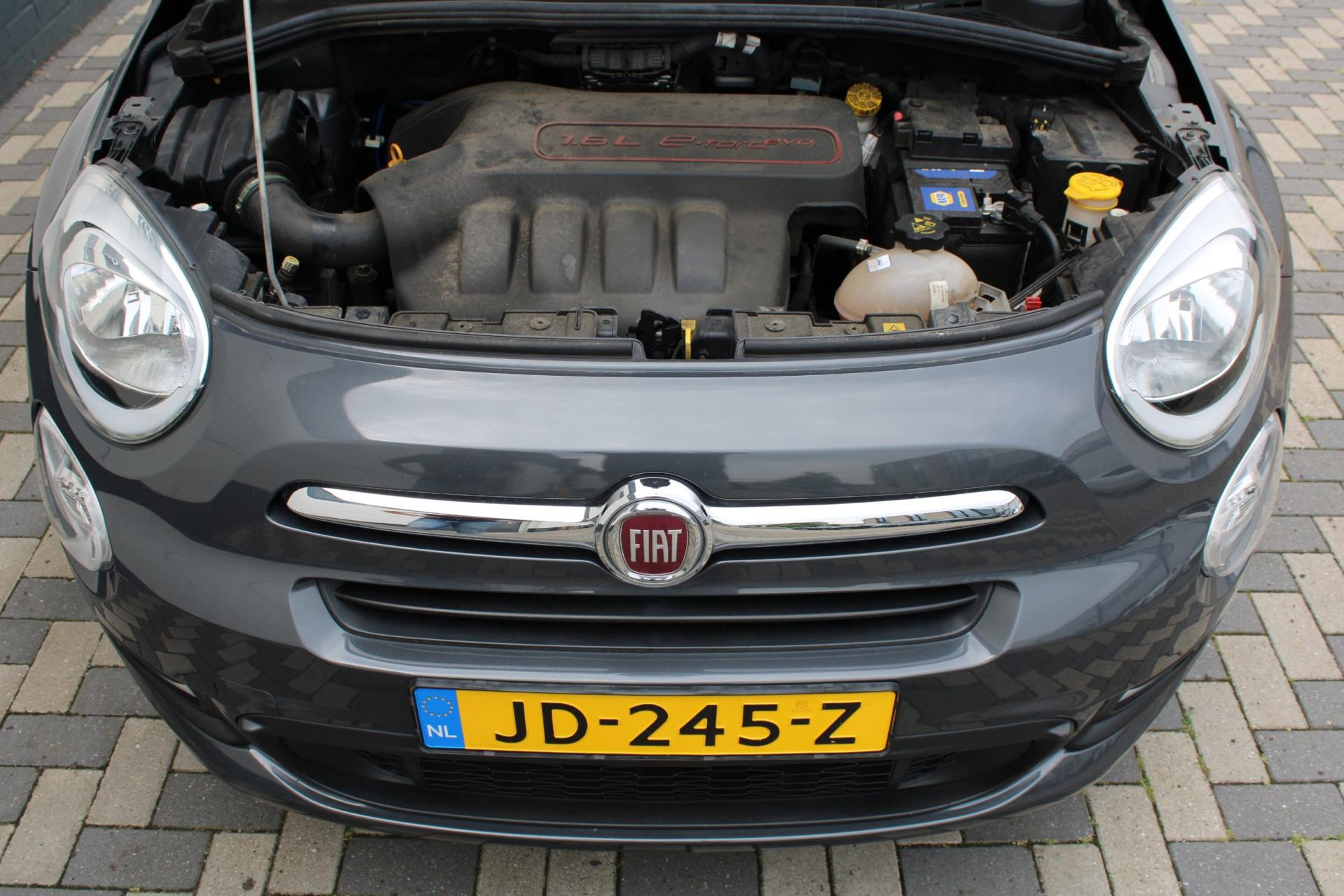 42338748-30.jpg