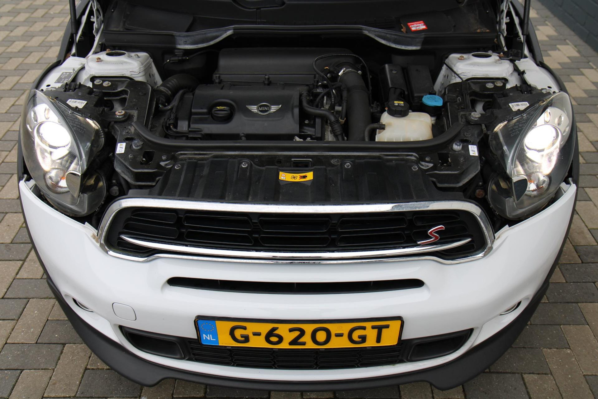 42440732-45.jpg