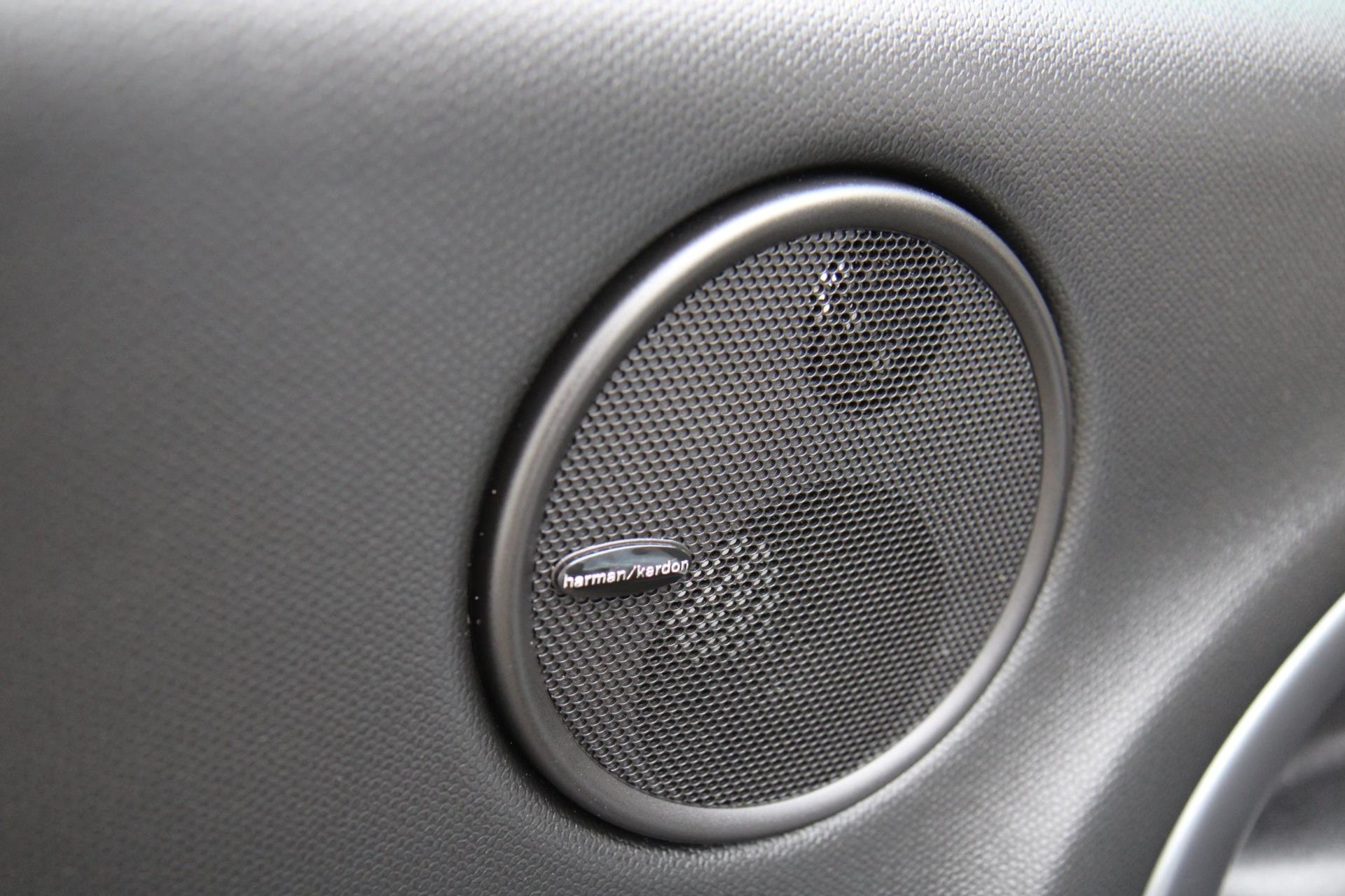 42440732-73.jpg
