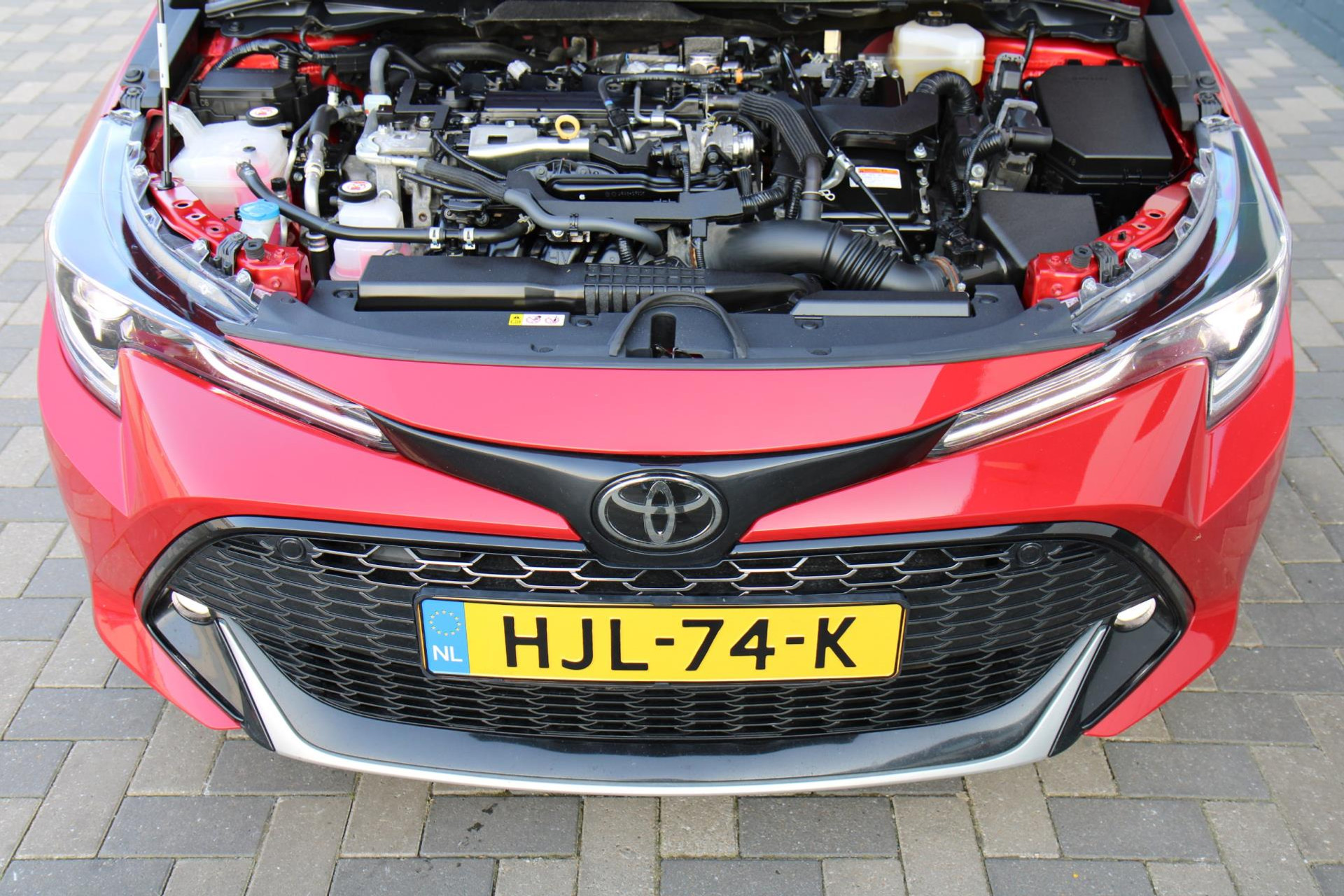 42678903-64.jpg