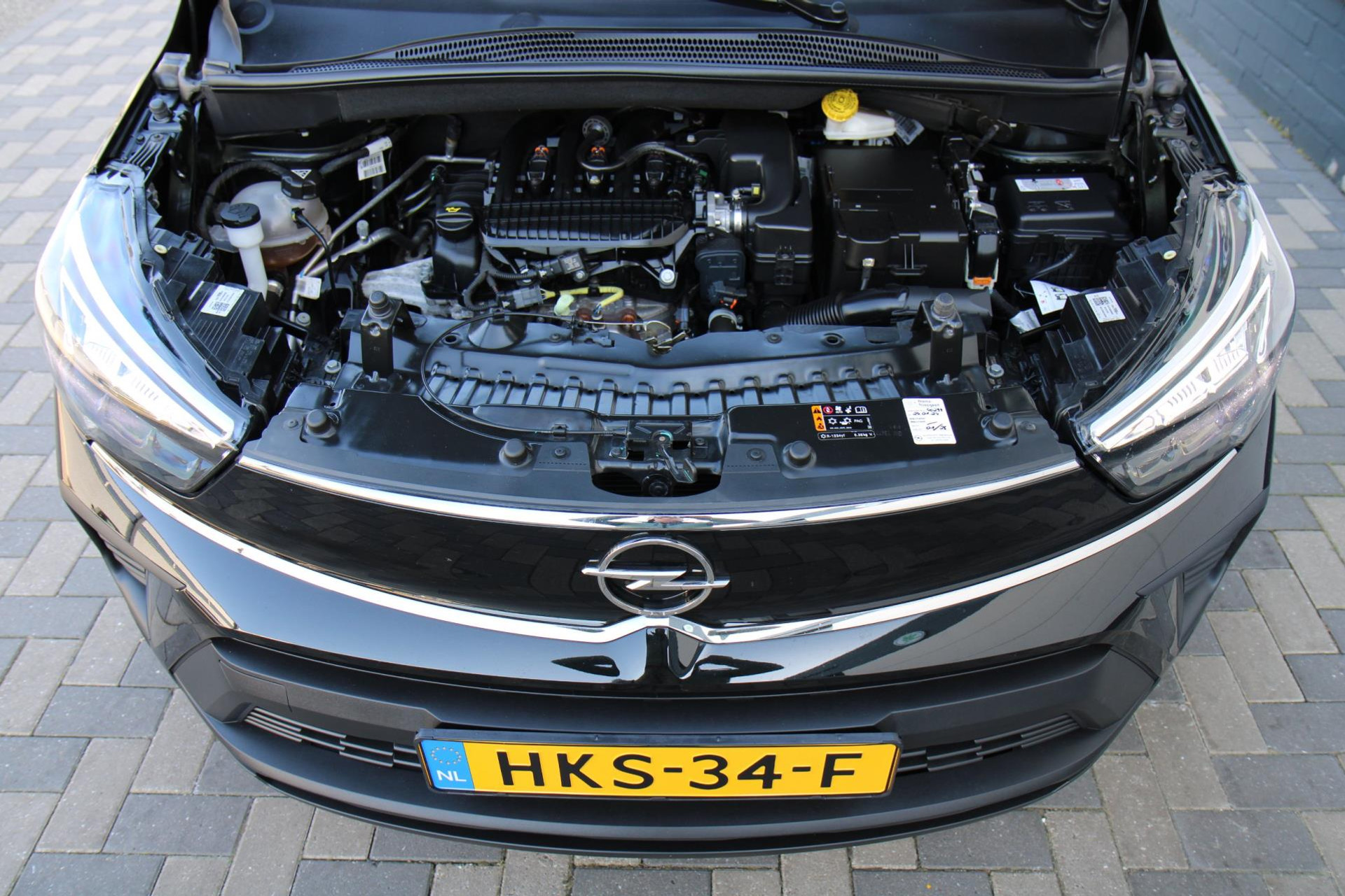 42974242-32.jpg