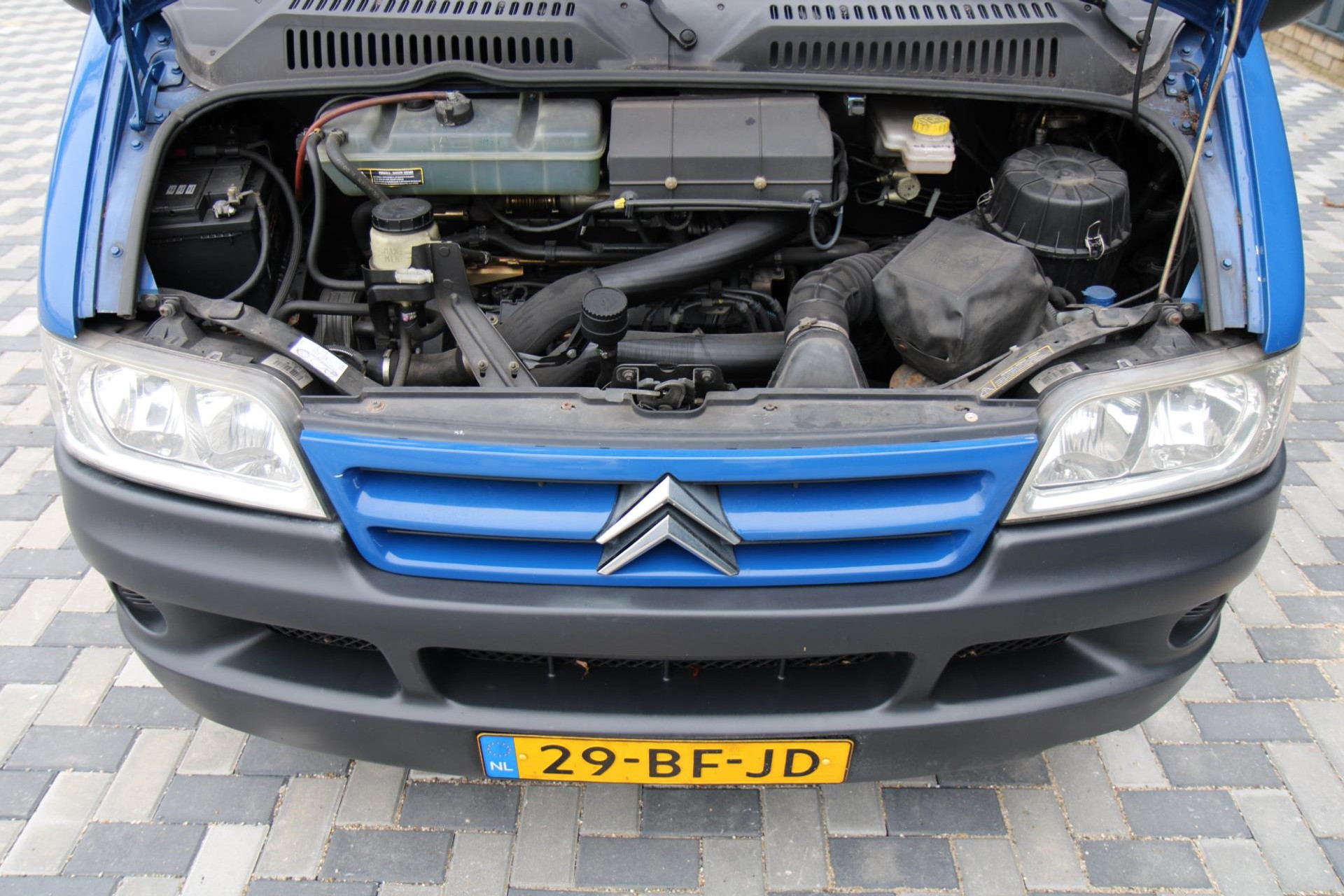 42974676-22.jpg