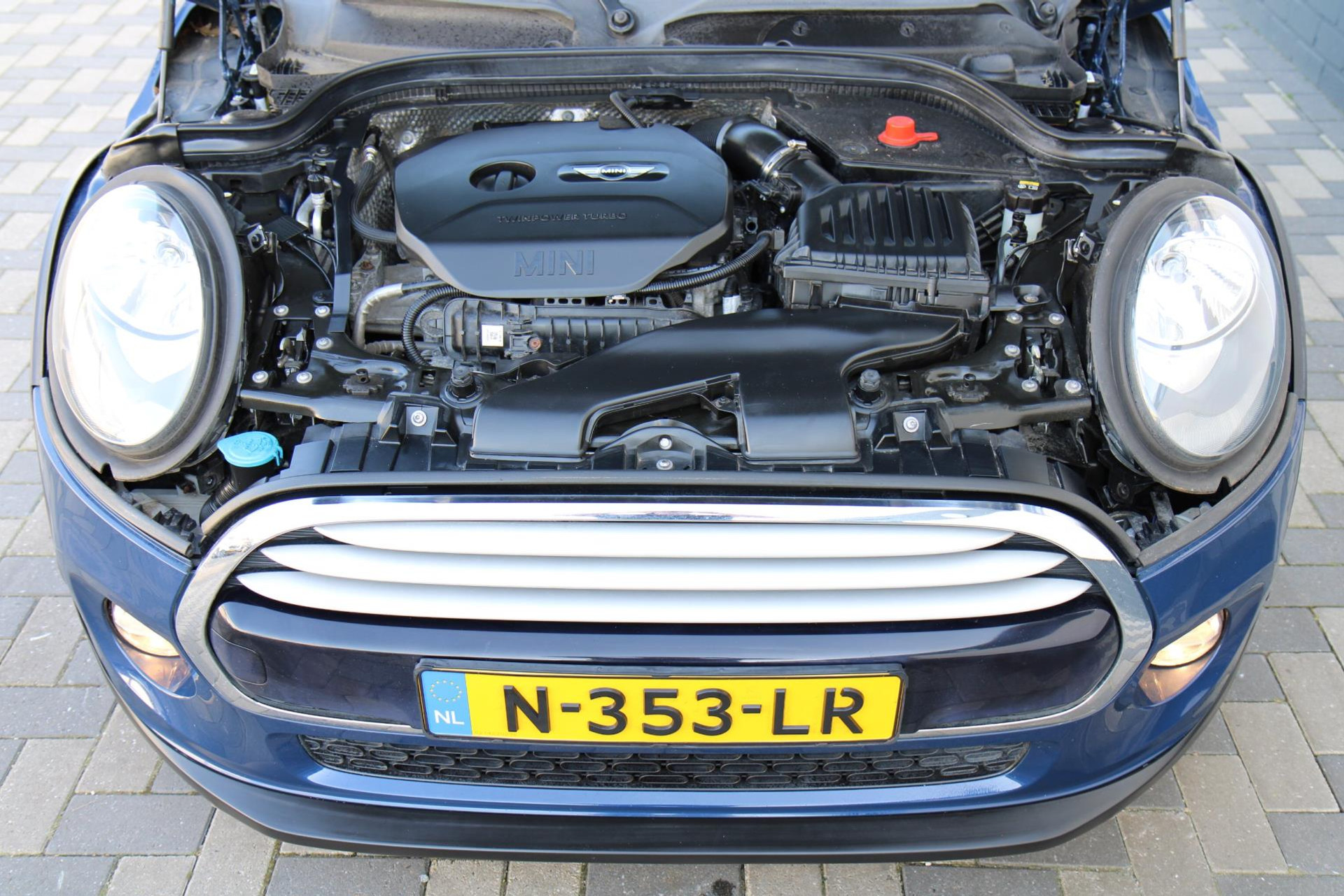 43412259-33.jpg