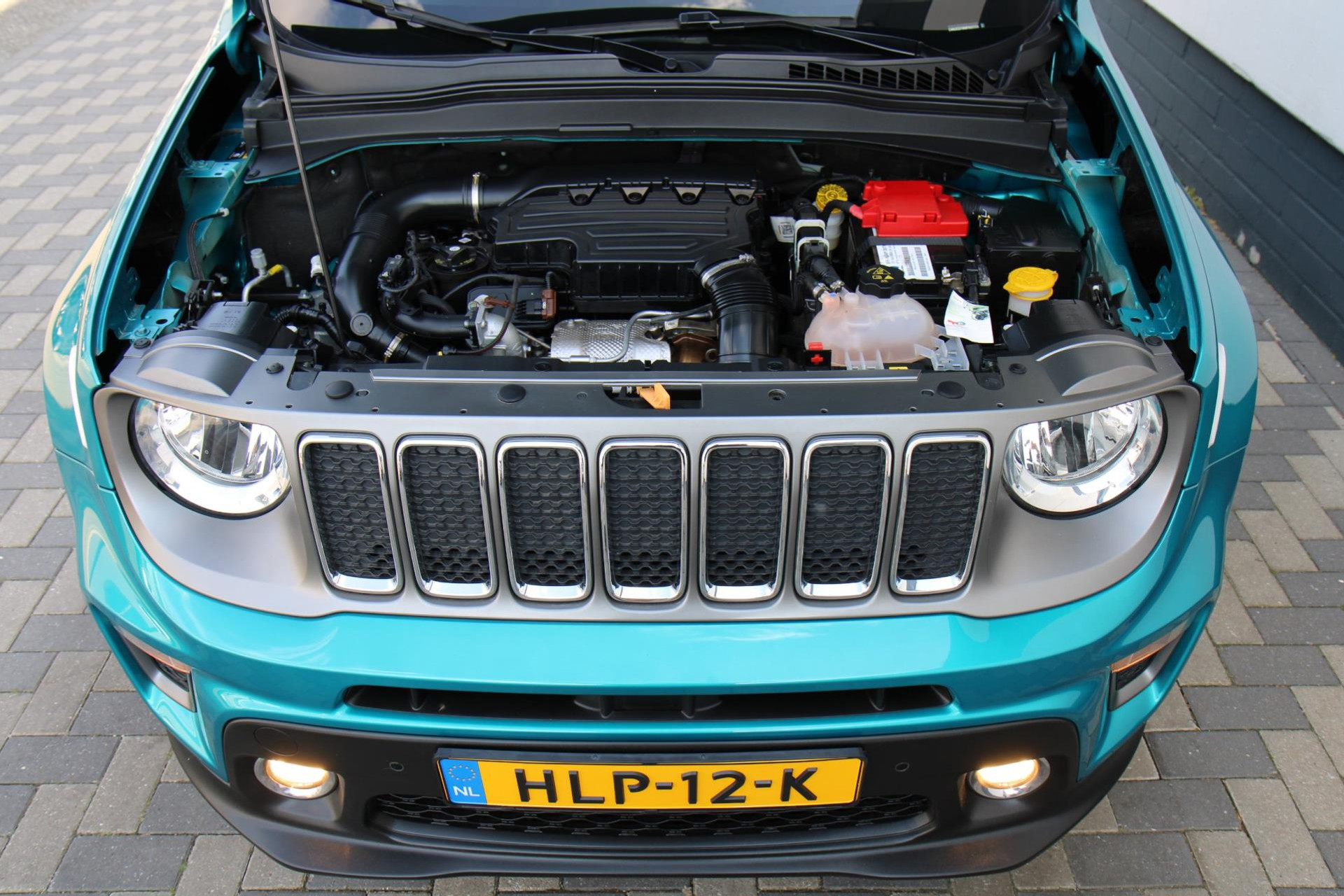 43450669-42.jpg