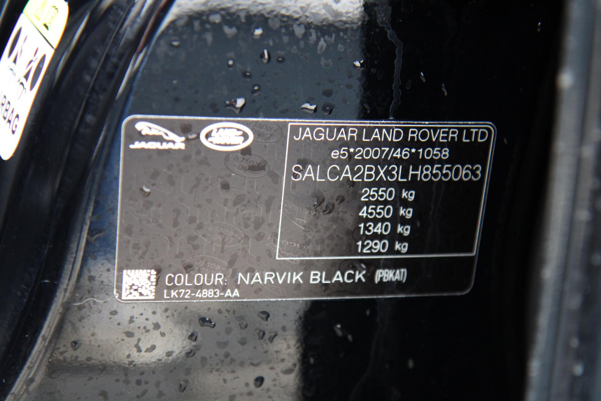 43484960-41.jpg