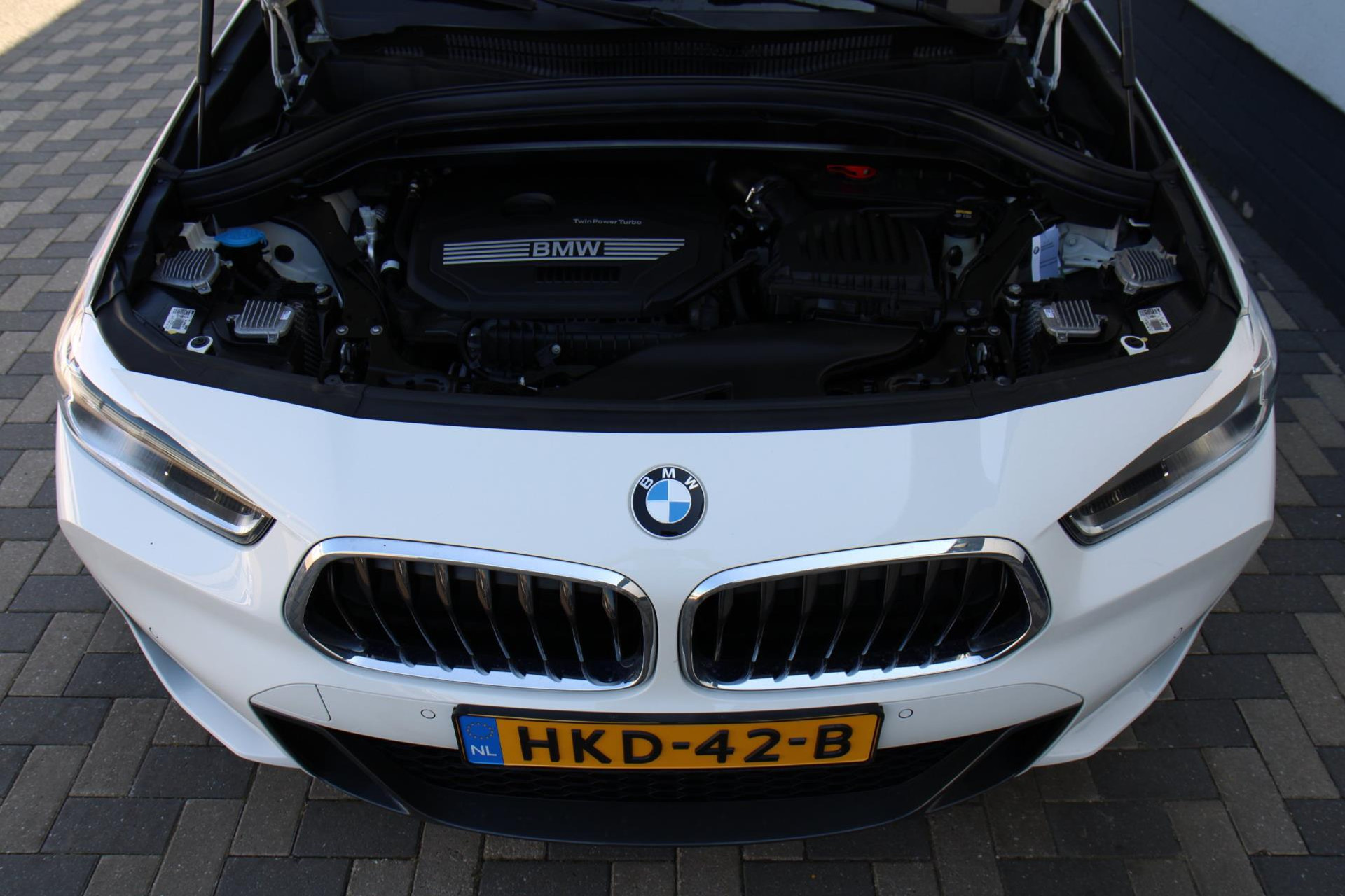 43485650-45.jpg