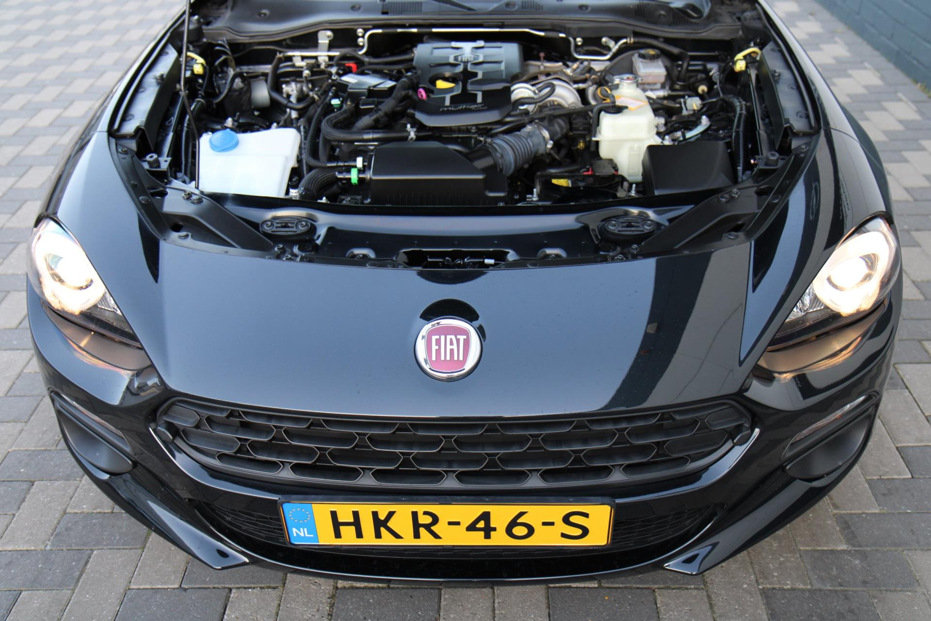 43558735-36.jpg