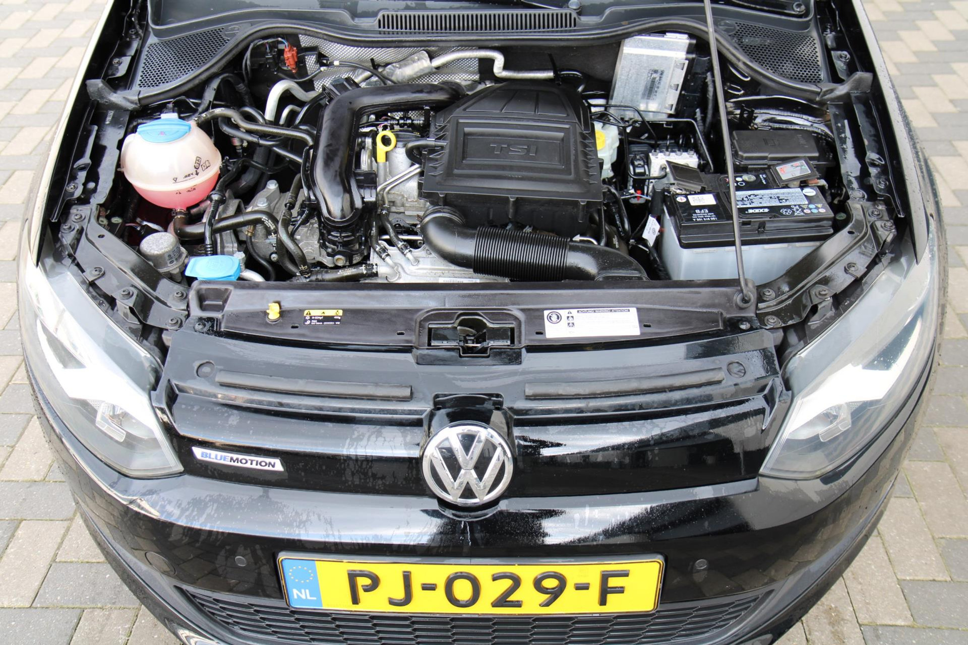 43558752-37.jpg