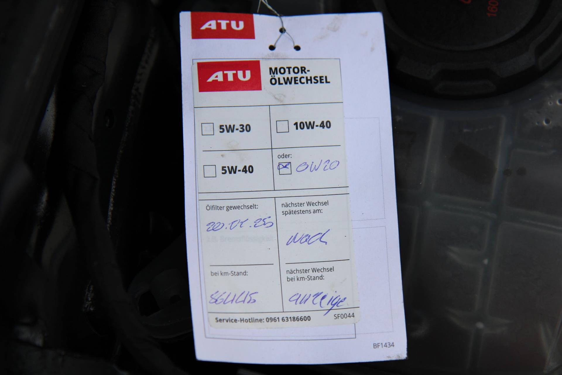 43558853-55.jpg