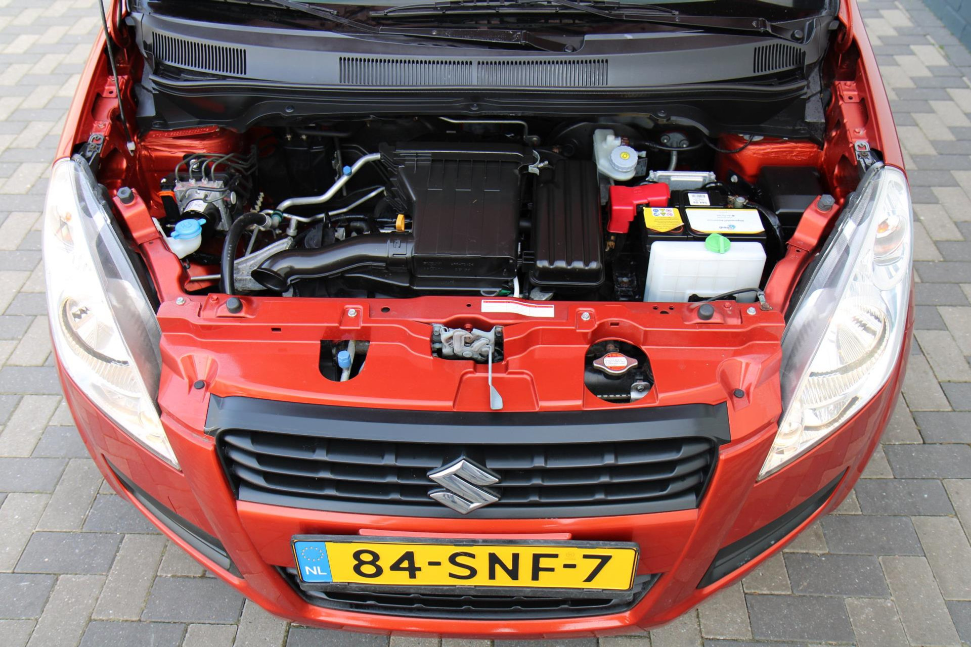 43680532-24.jpg