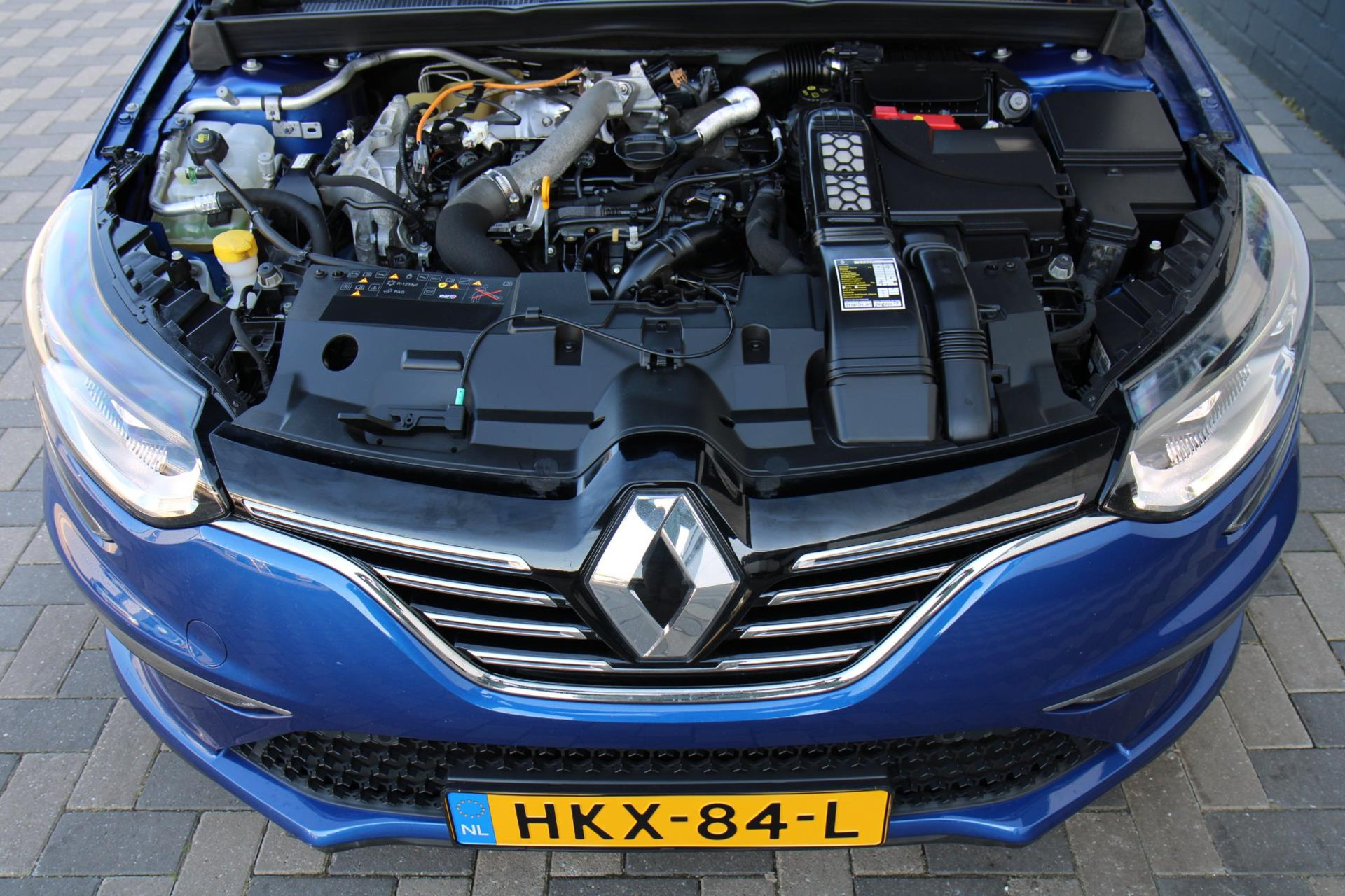 43697270-52.jpg