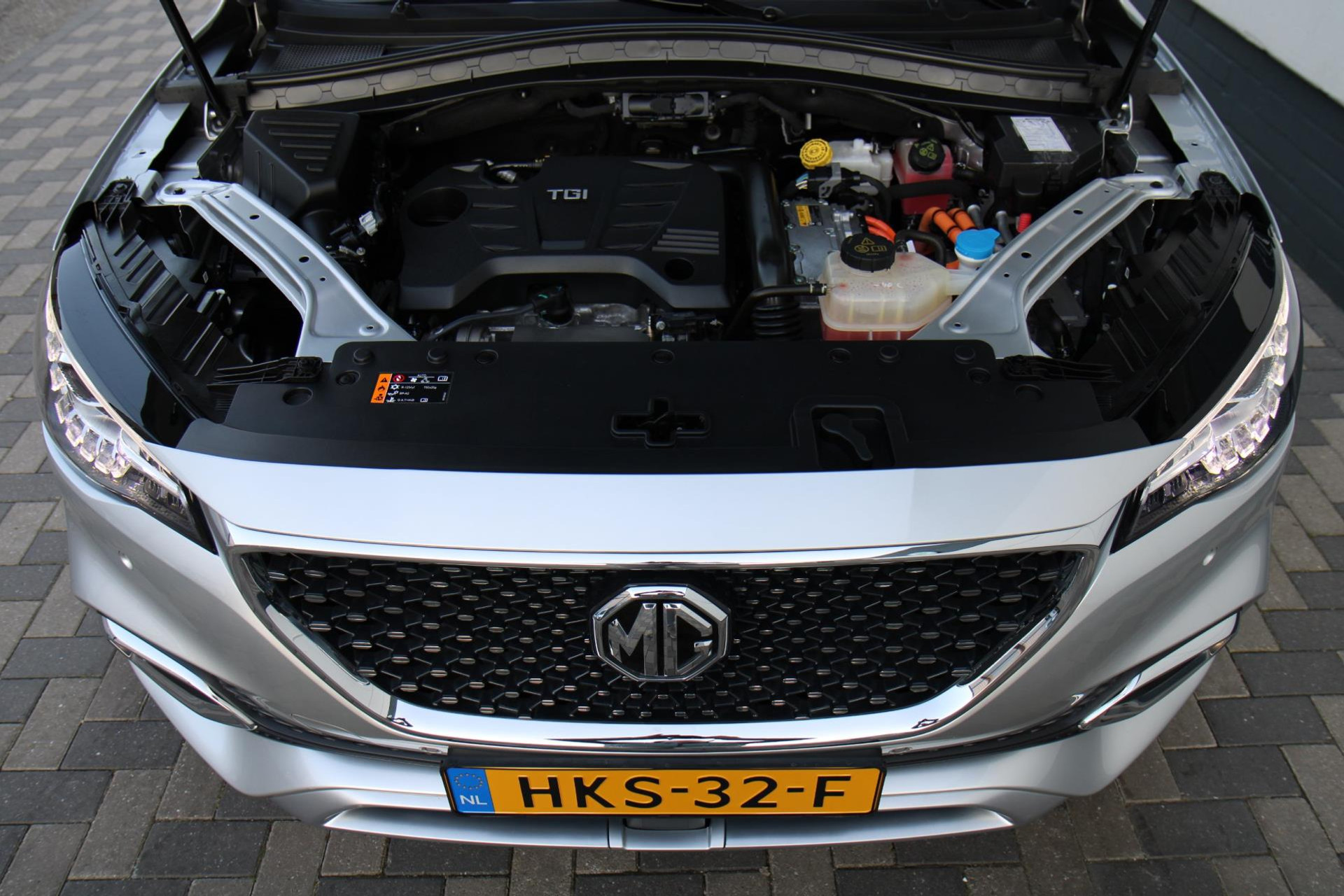 43697297-50.jpg