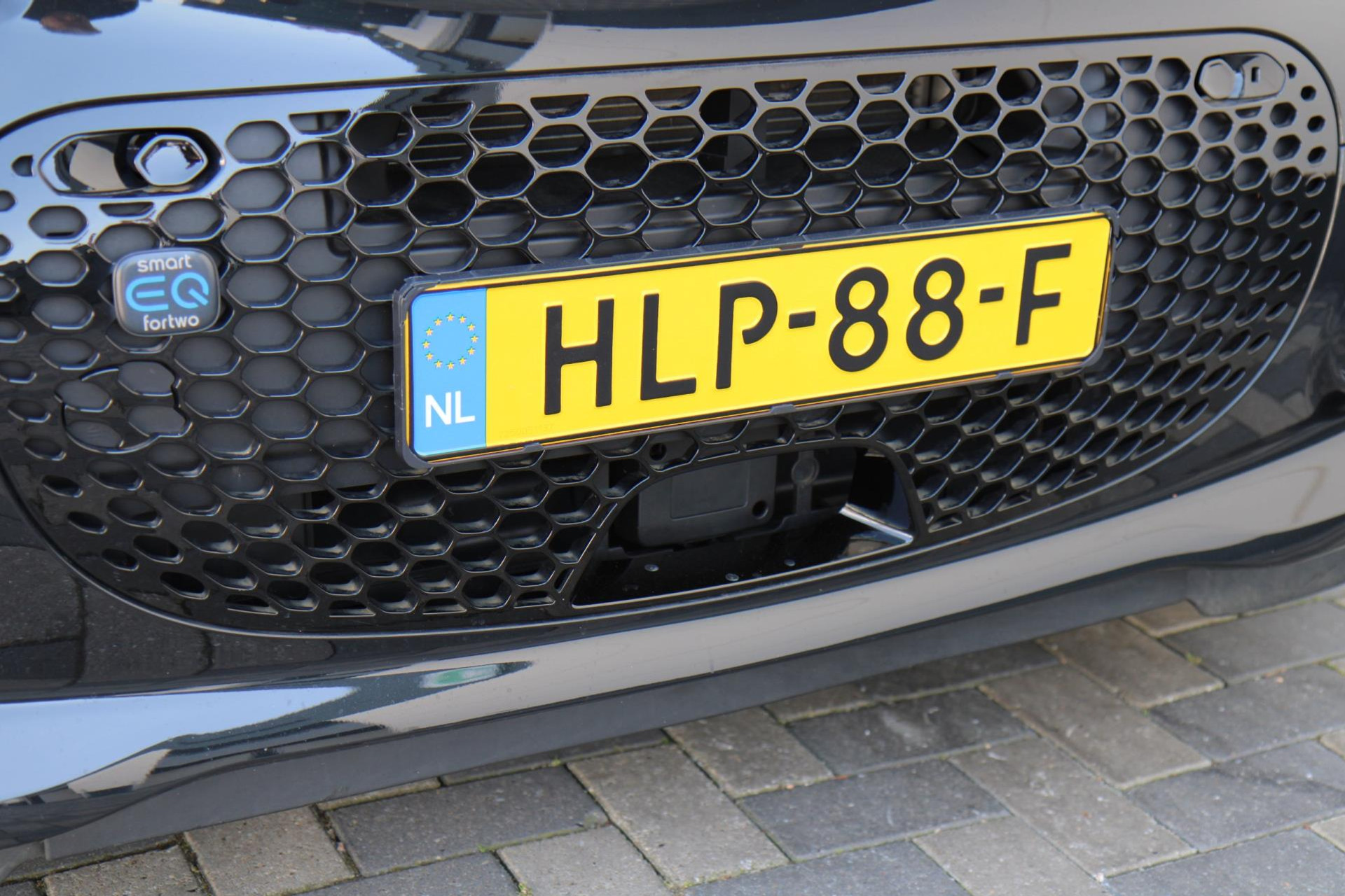 43833354-62.jpg