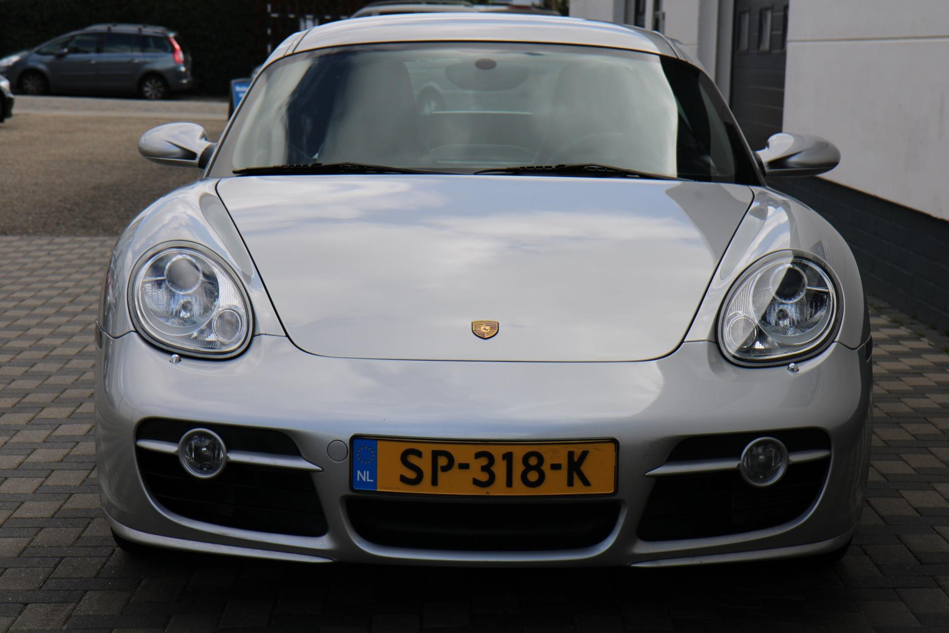 43865162-24.jpg