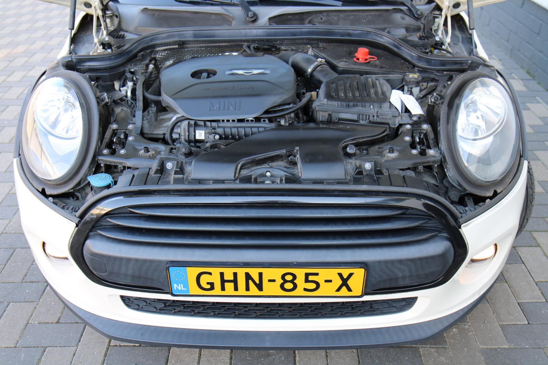 43979035-21.jpg