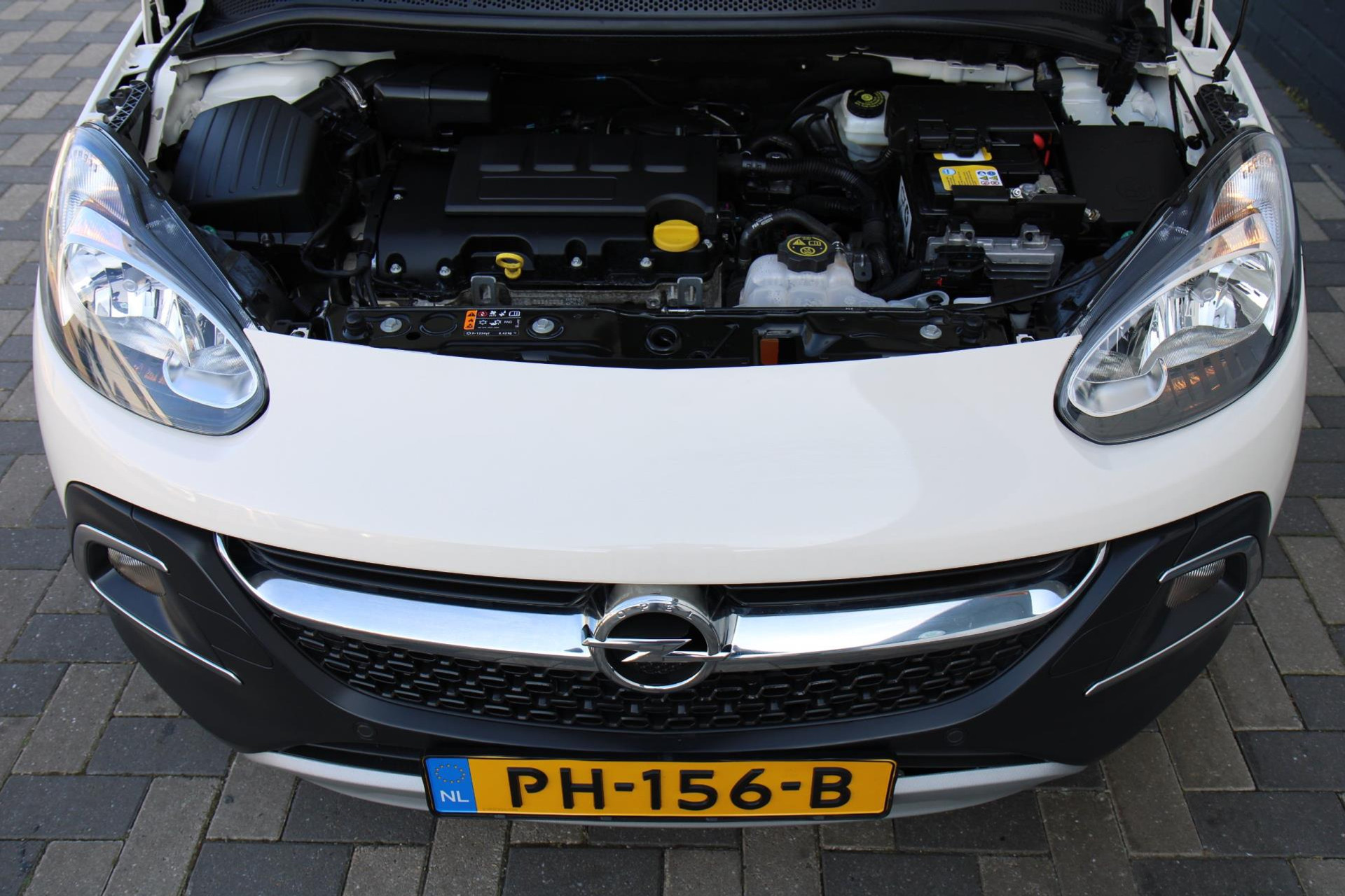 44211617-29.jpg