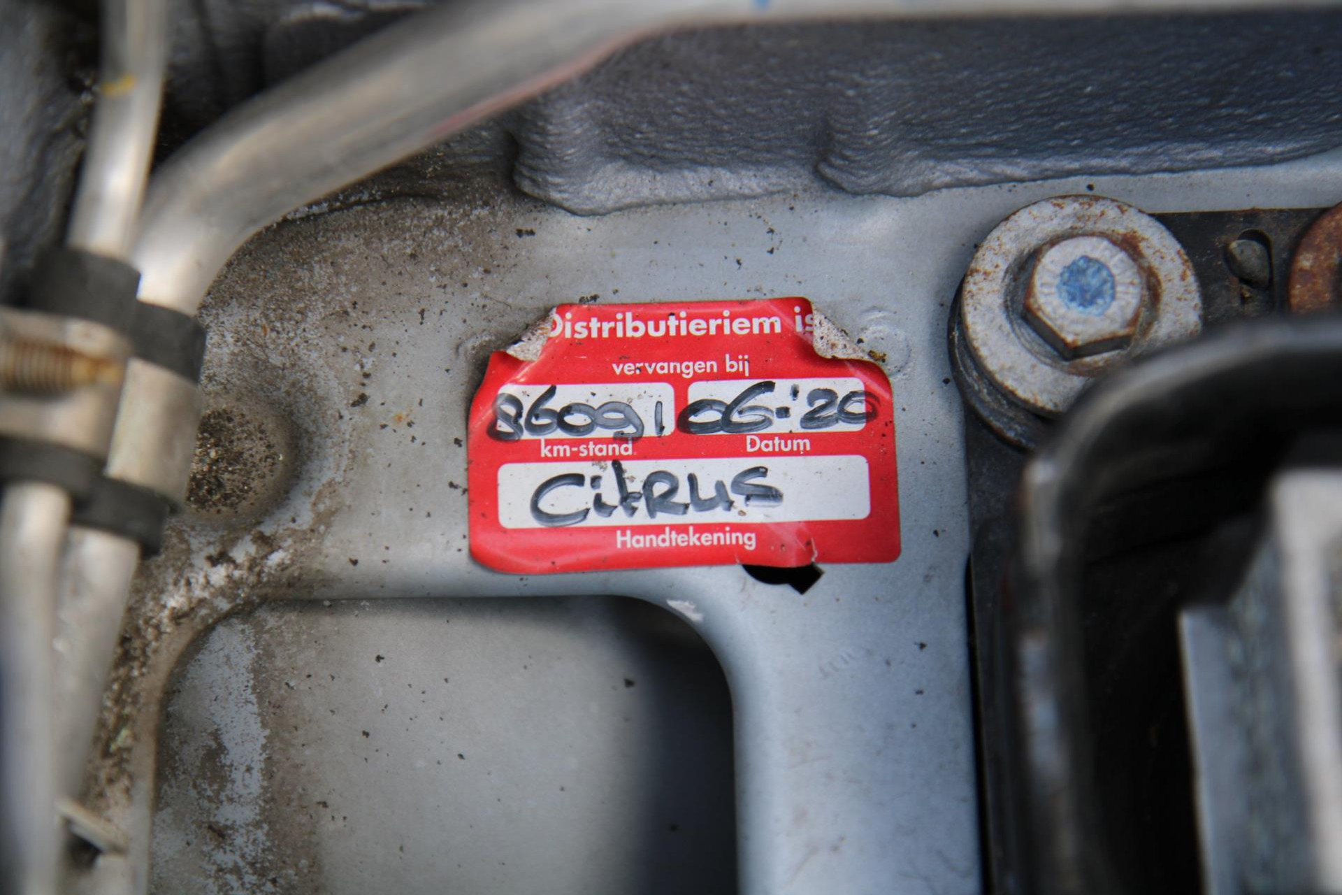 44270209-31.jpg