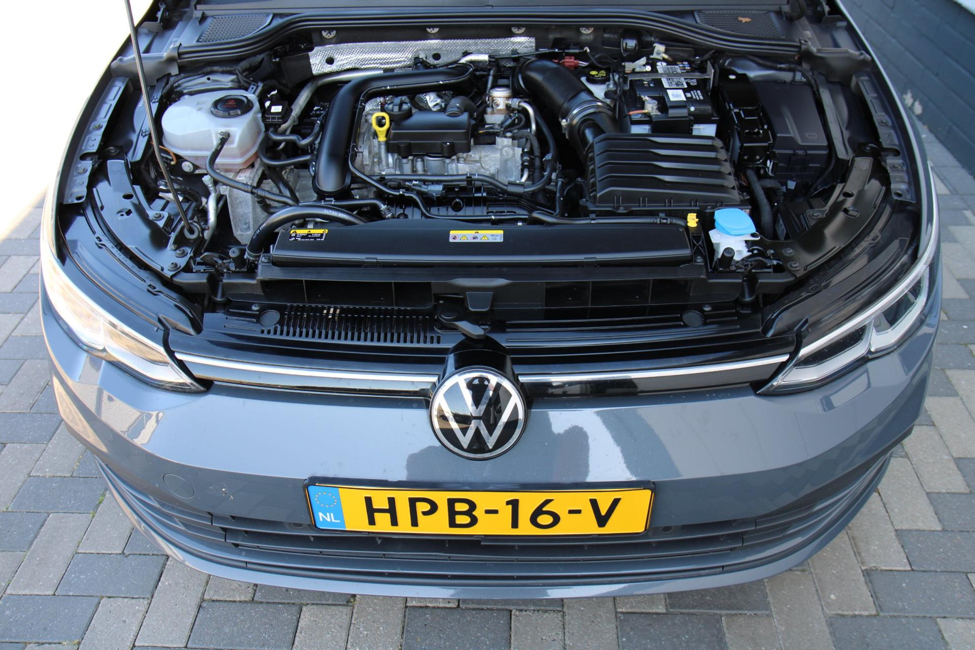 44292745-46.jpg