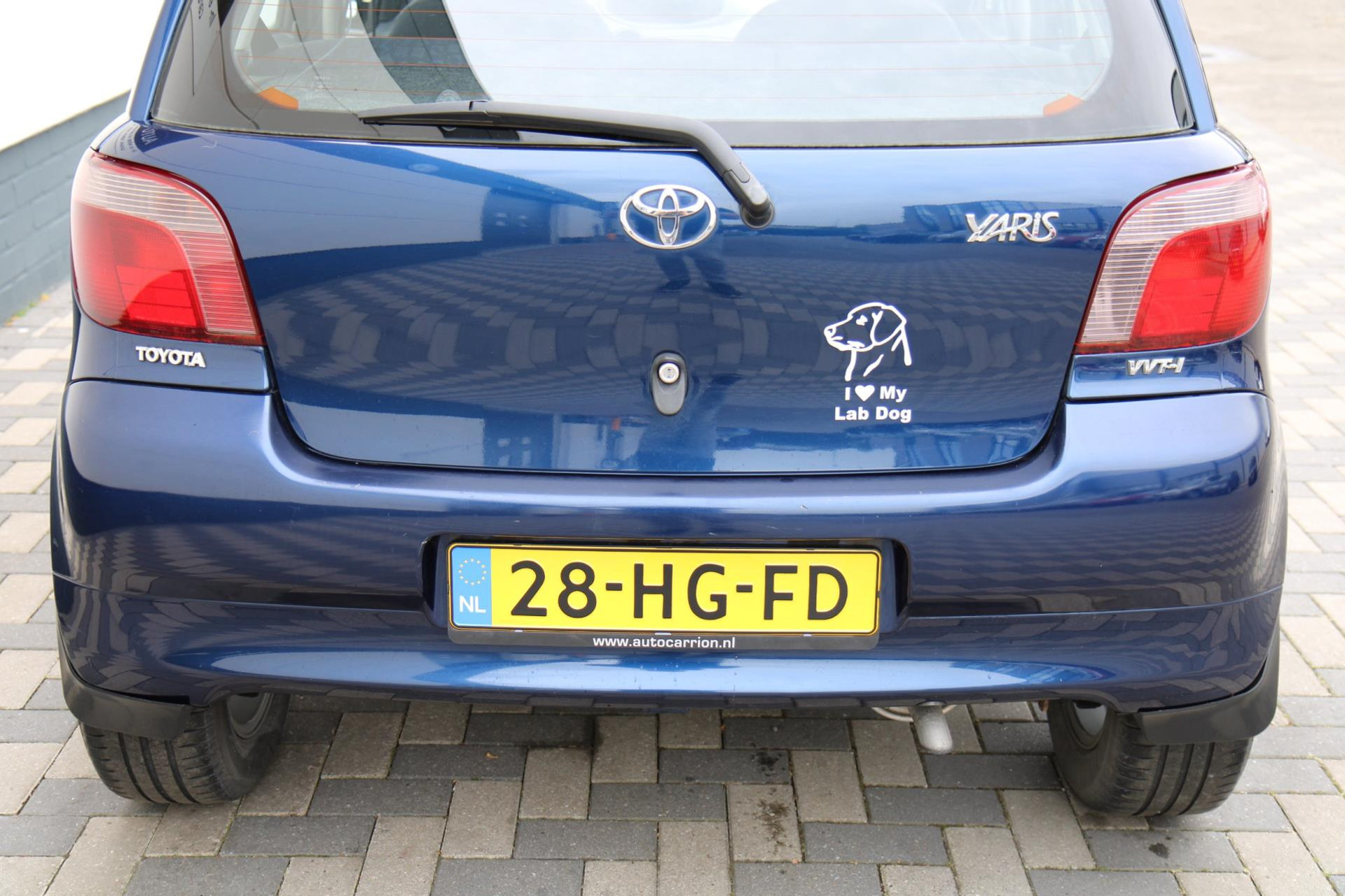 44338868-29.jpg
