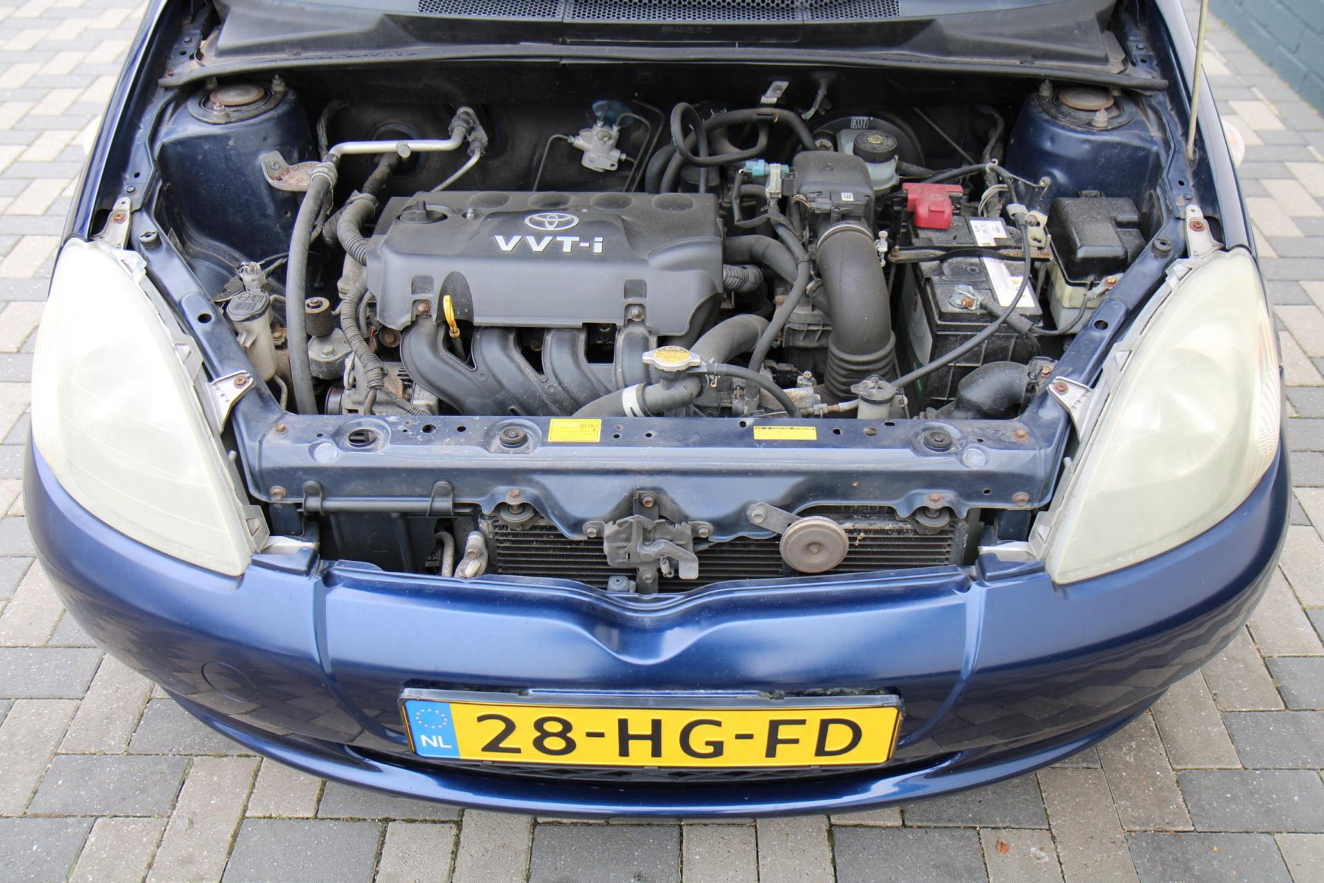 44338868-37.jpg
