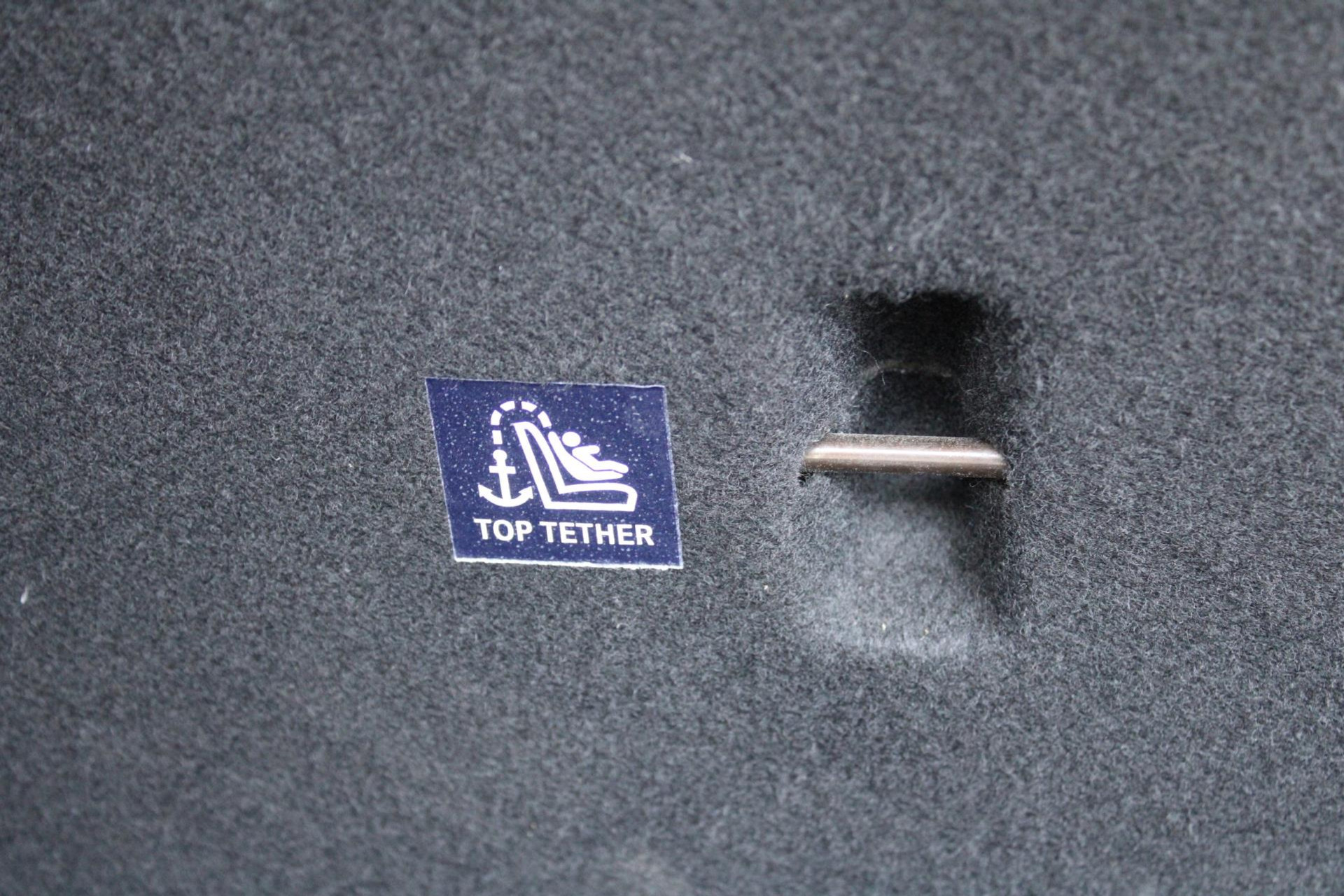 44378383-40.jpg