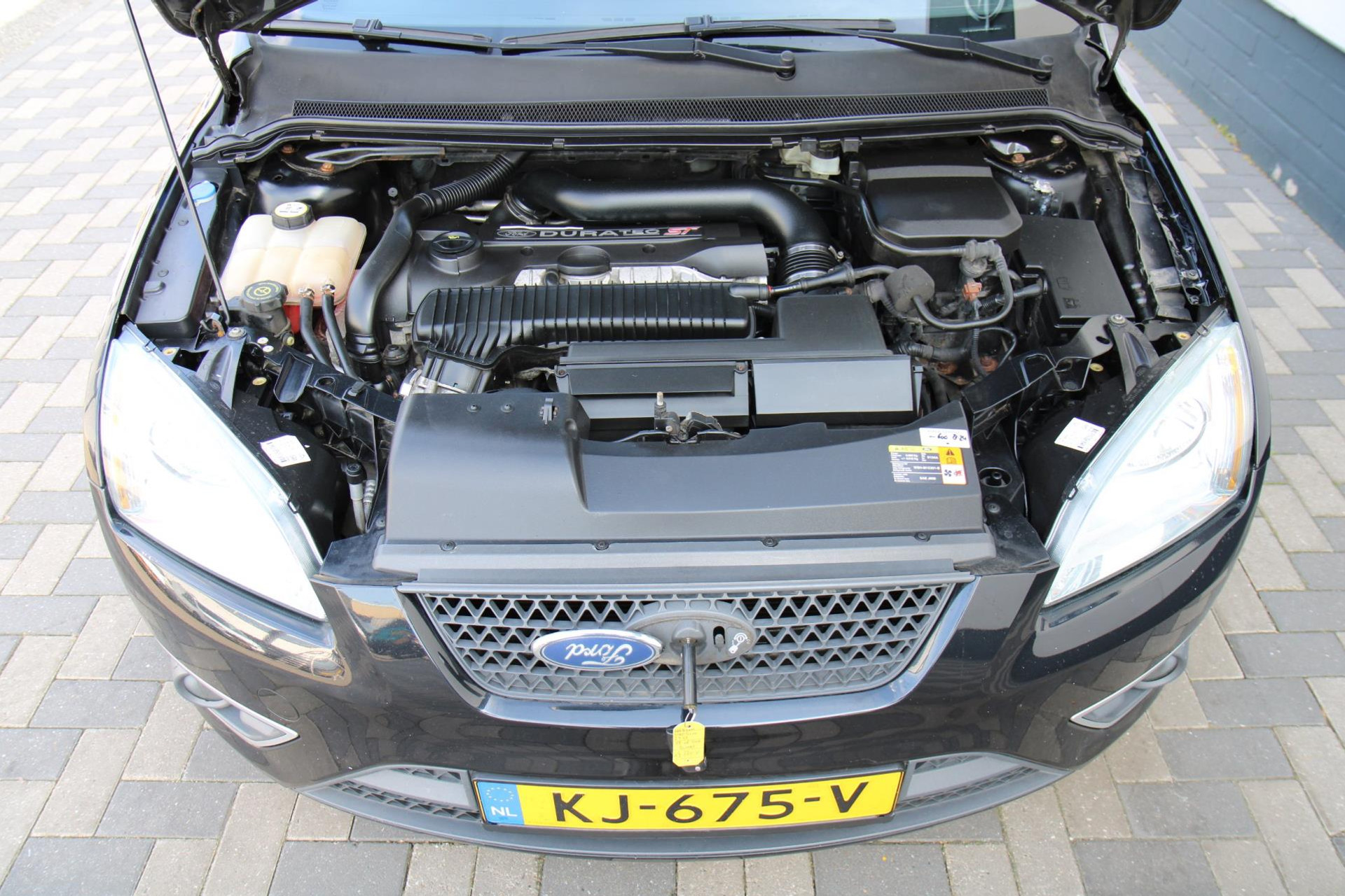 44381677-24.jpg