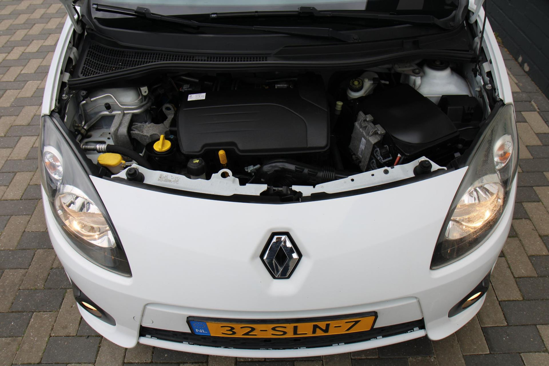 44433203-22.jpg