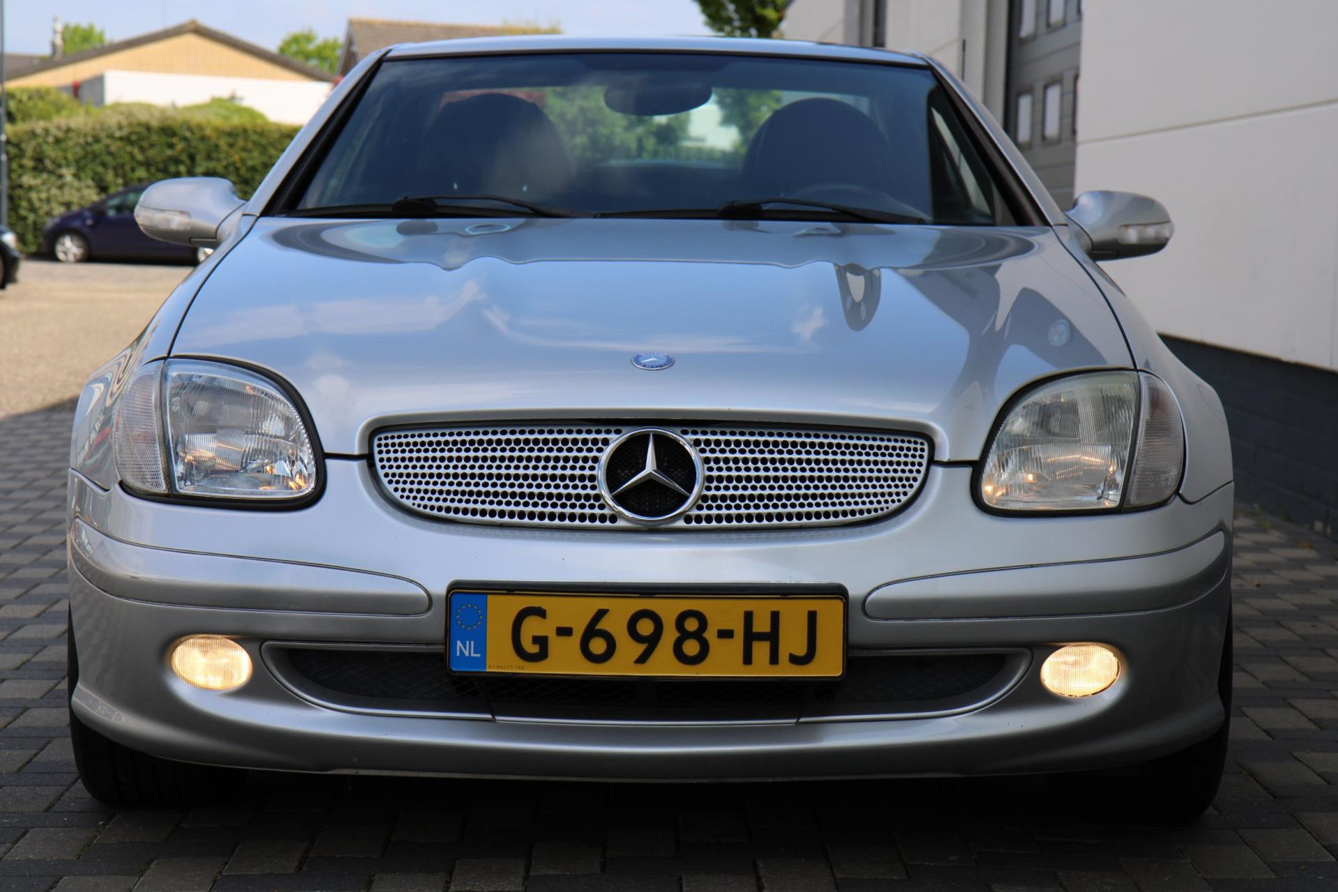 44488416-31.jpg