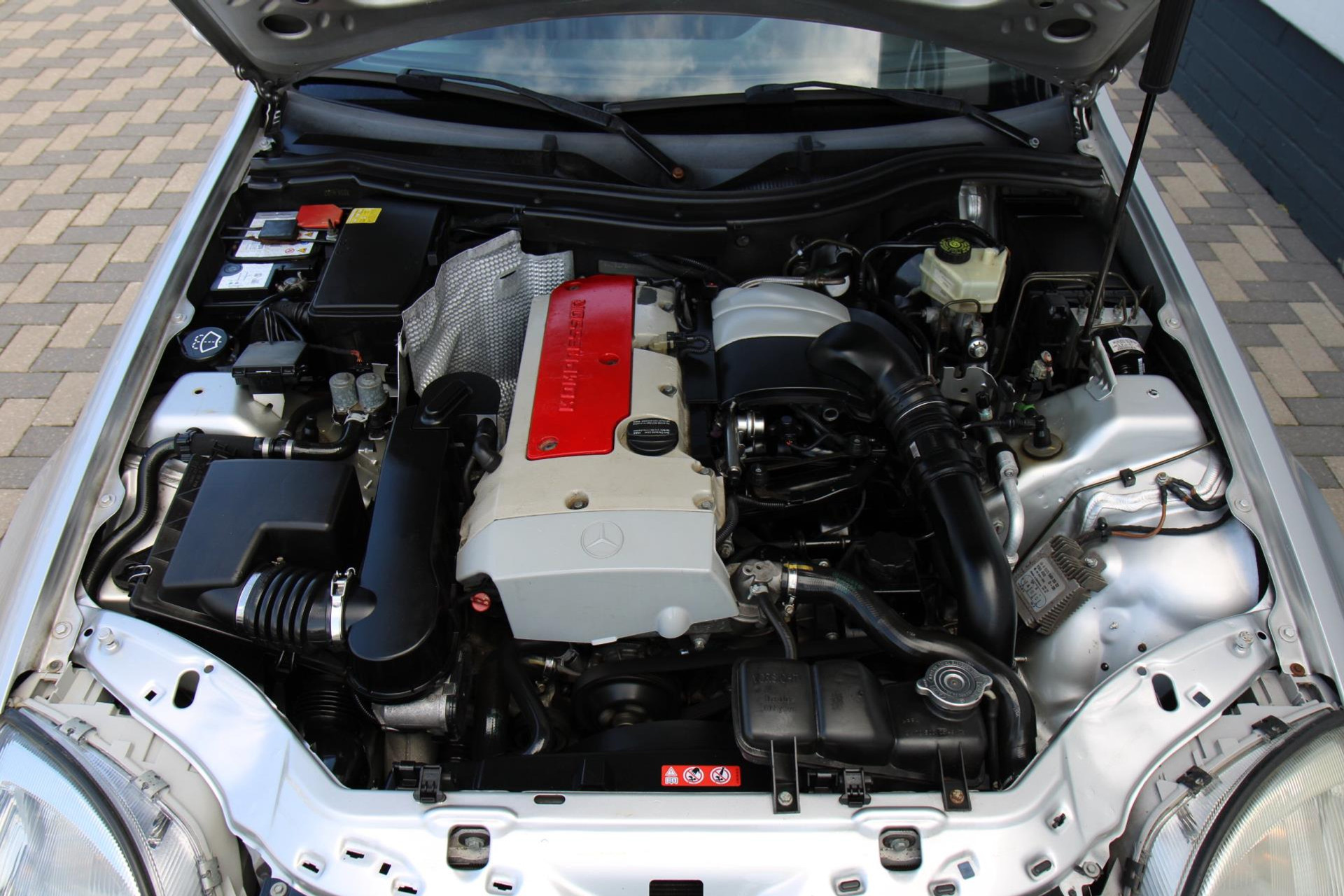 44488416-32.jpg