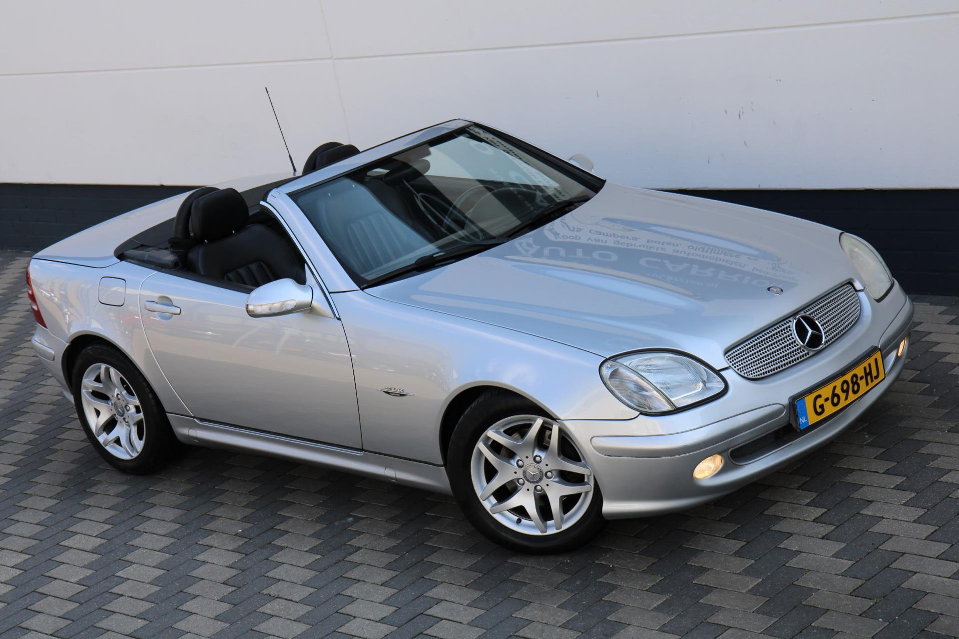 44488416-66.jpg