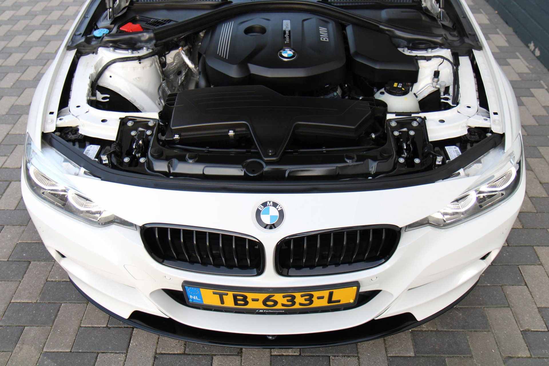 44524728-42.jpg