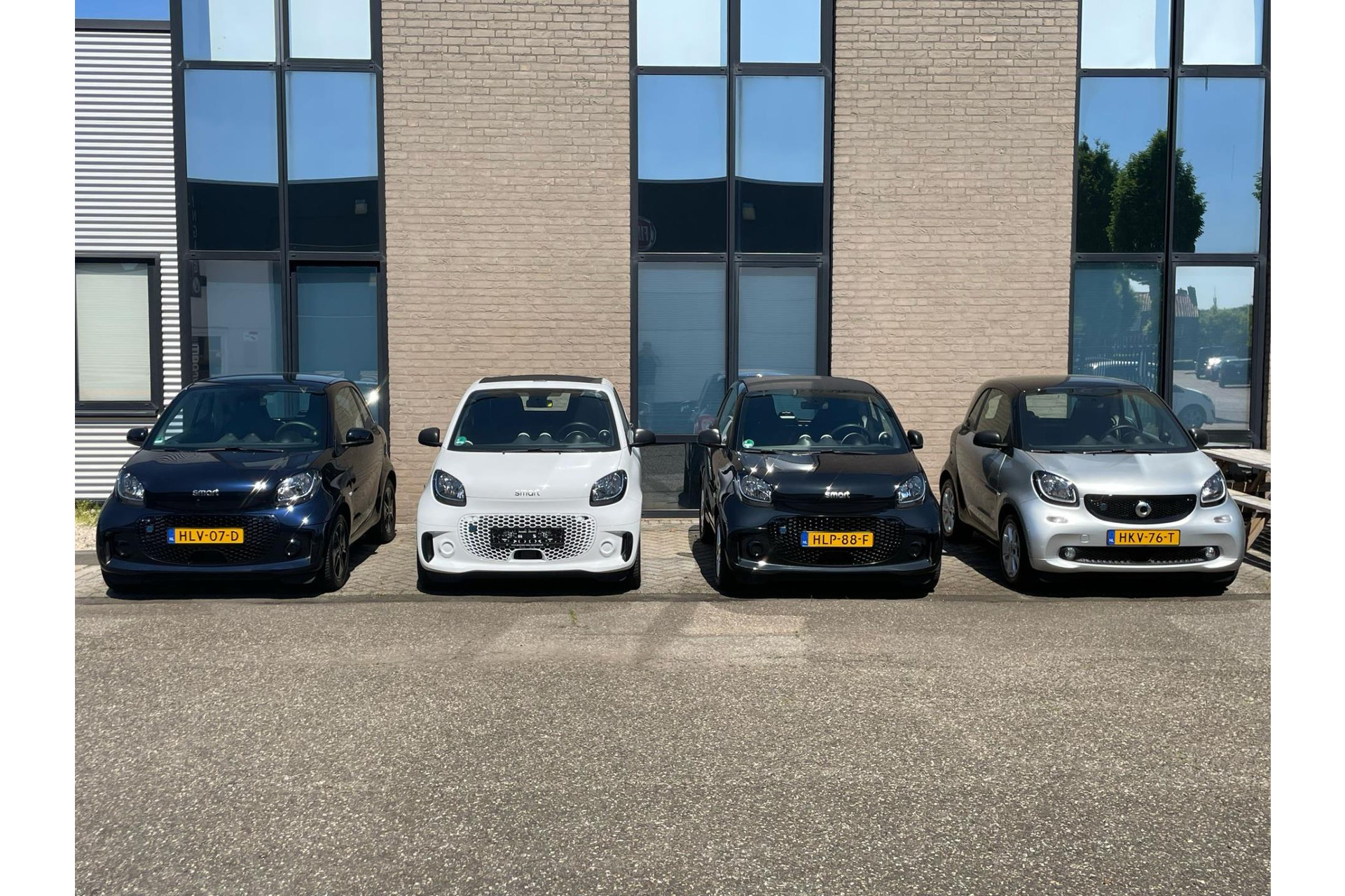 44657017-78.jpg