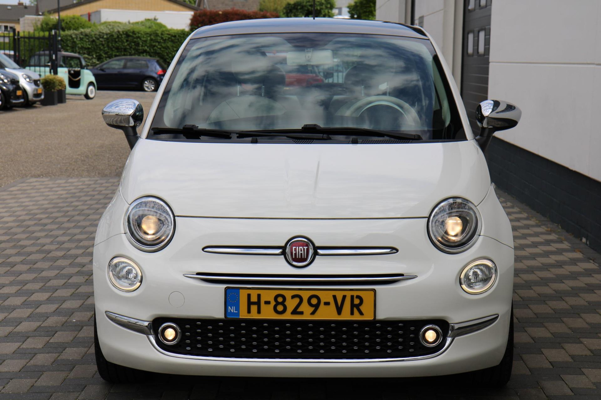 44704132-35.jpg