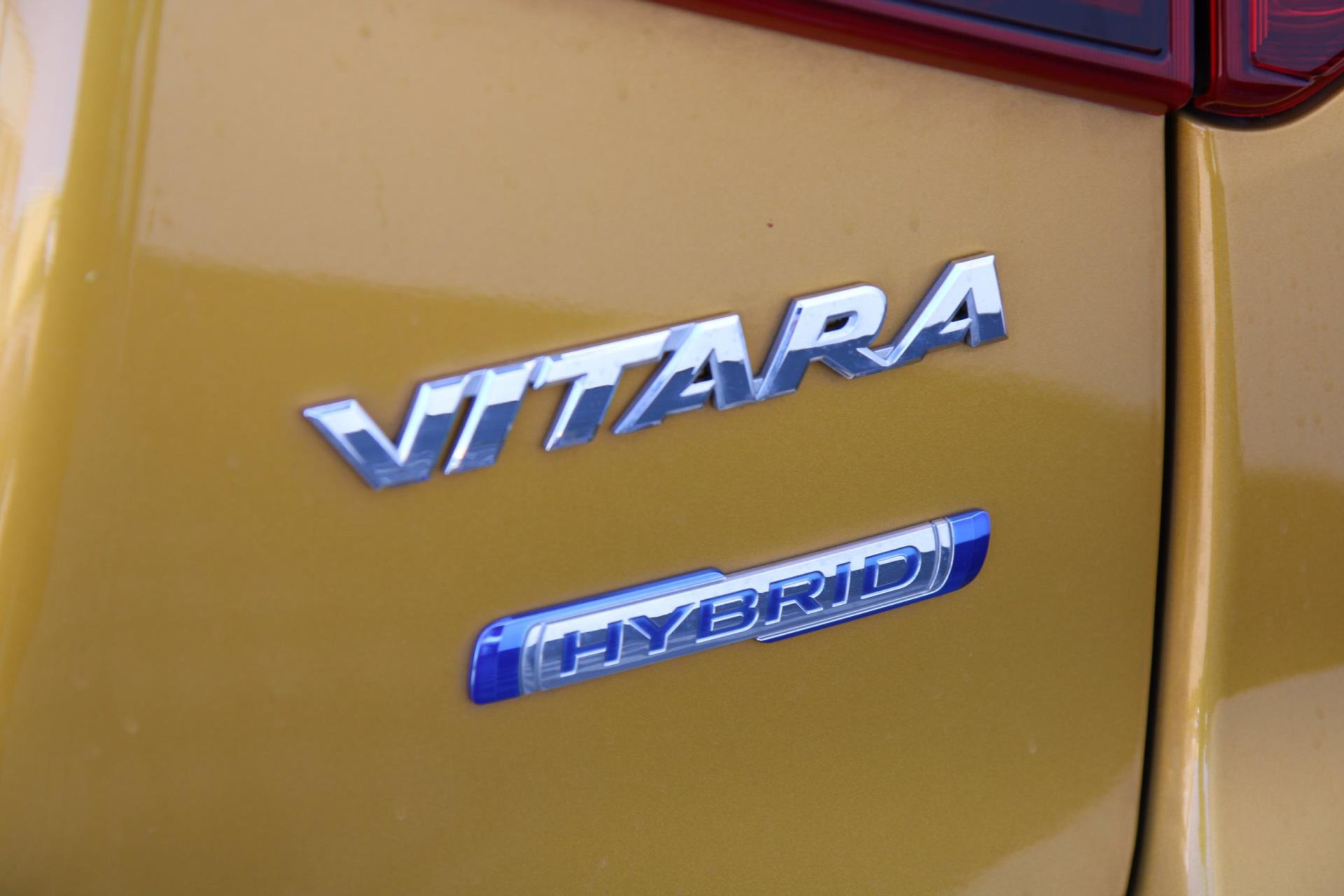 44921725-80.jpg