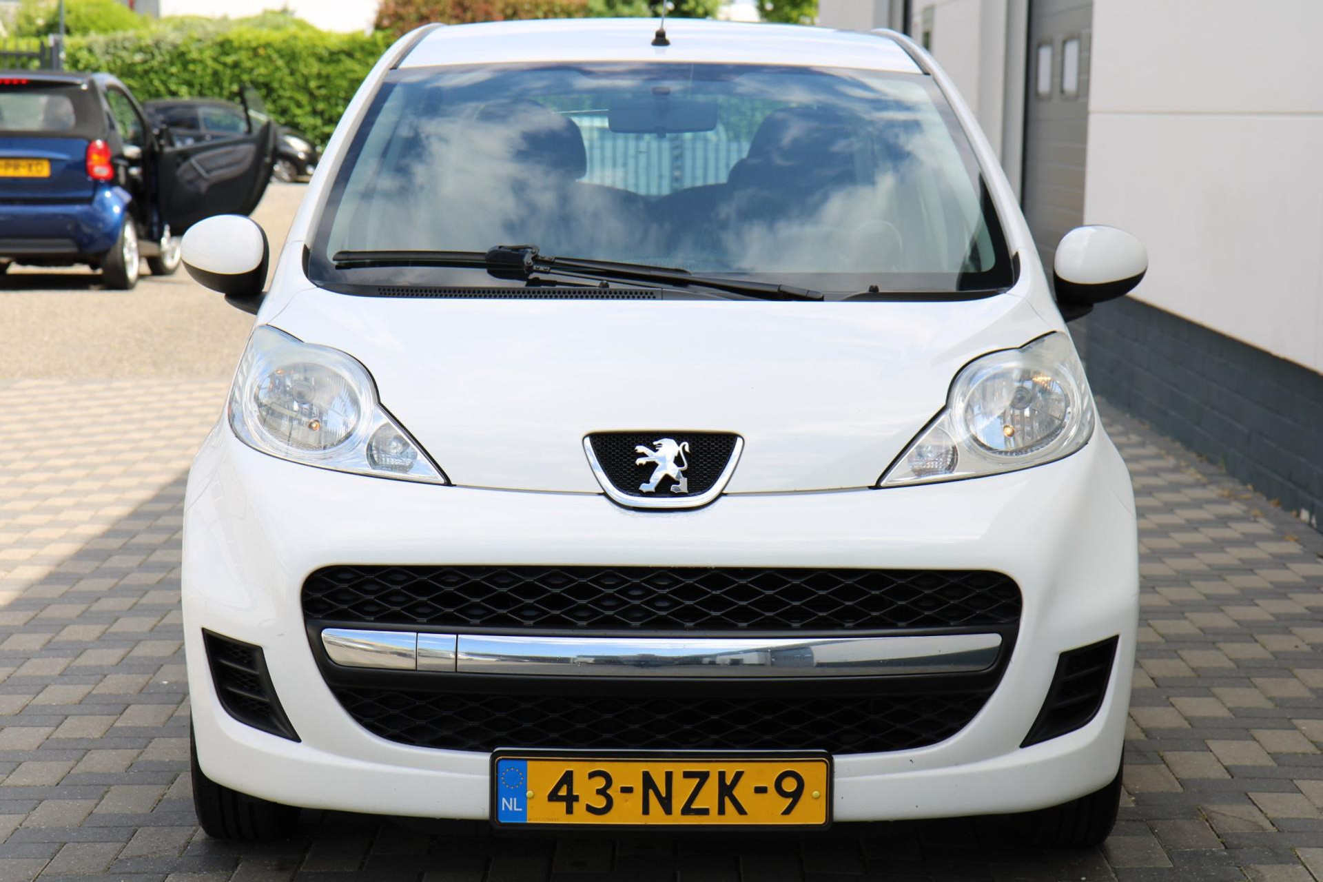 44995459-21.jpg