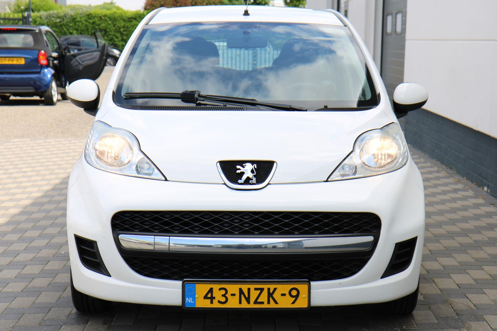 44995459-22.jpg