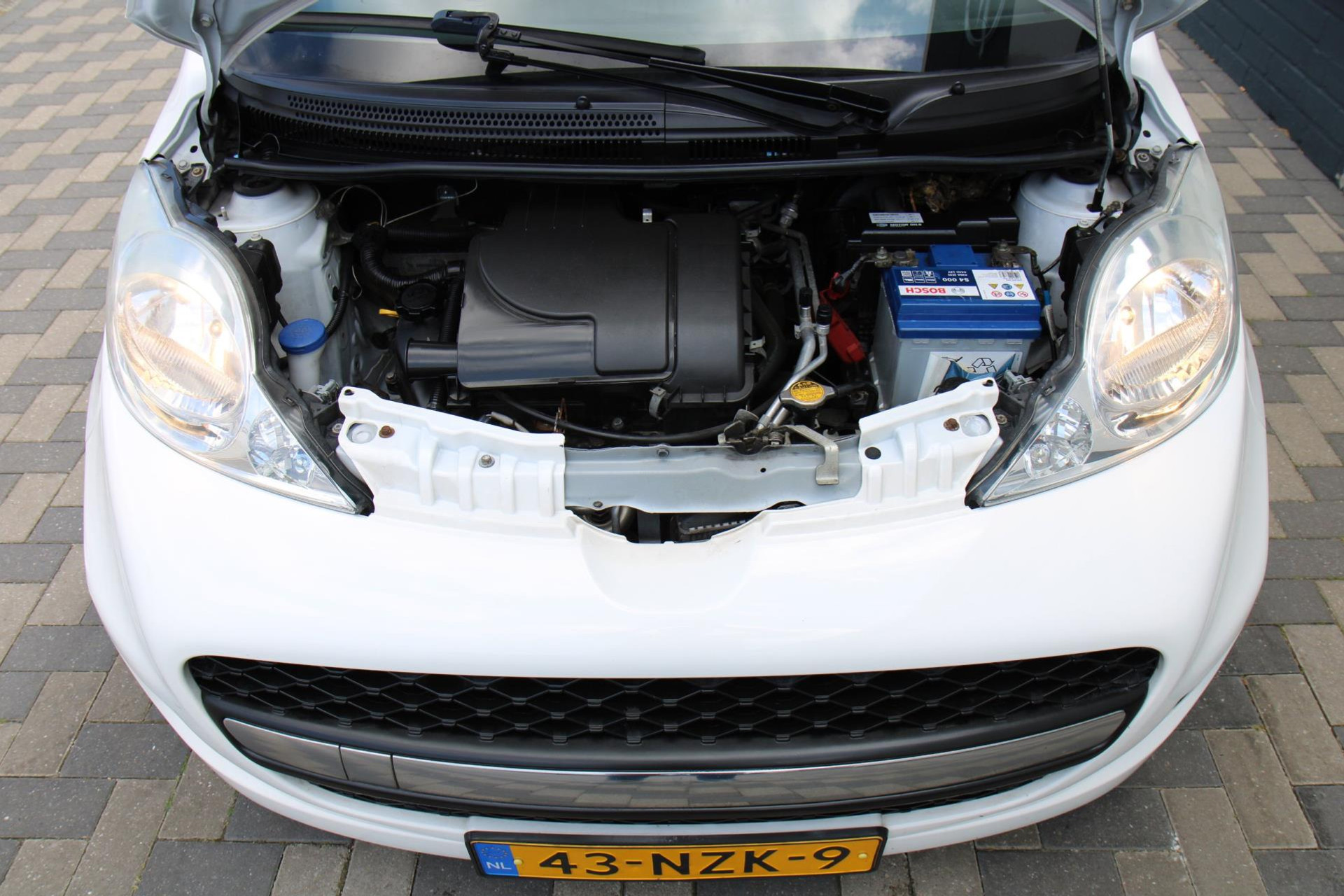 44995459-24.jpg