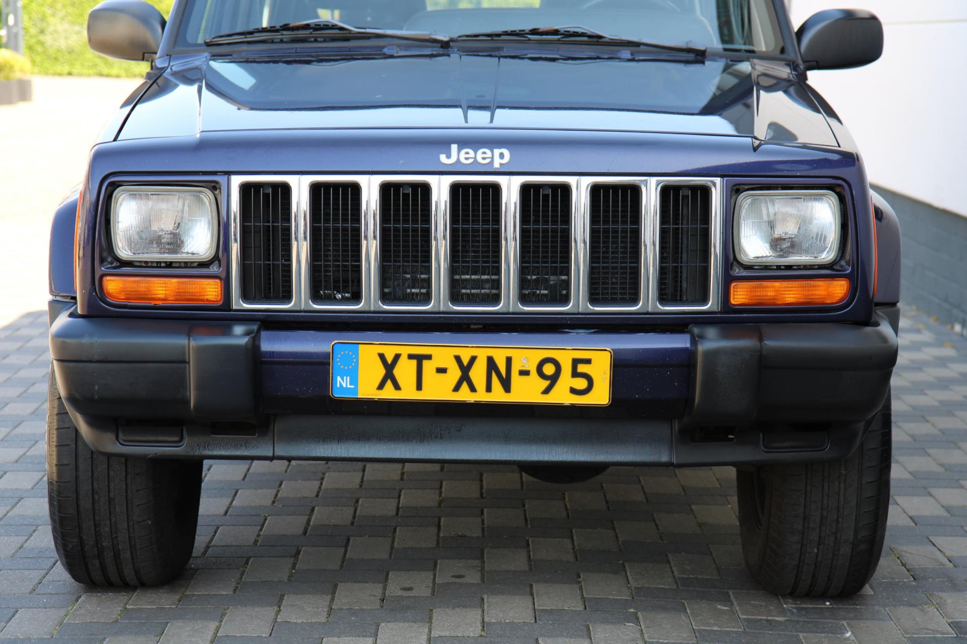 45062253-38.jpg