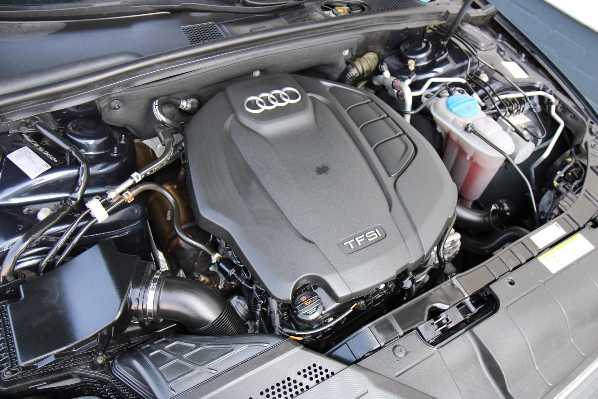 45248008-30.jpg