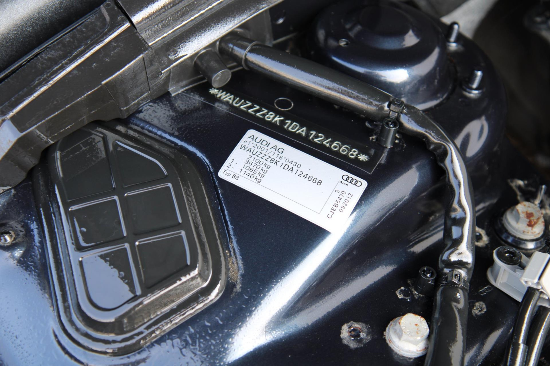 45248008-31.jpg