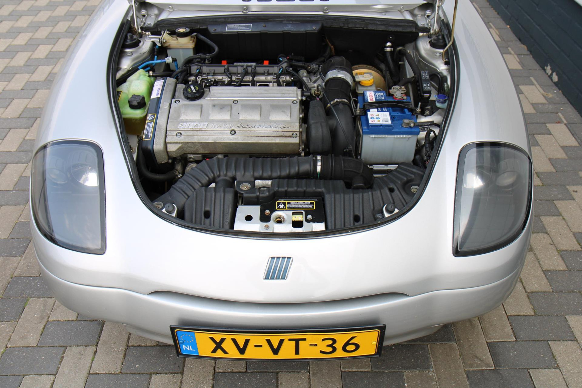 45364933-26.jpg