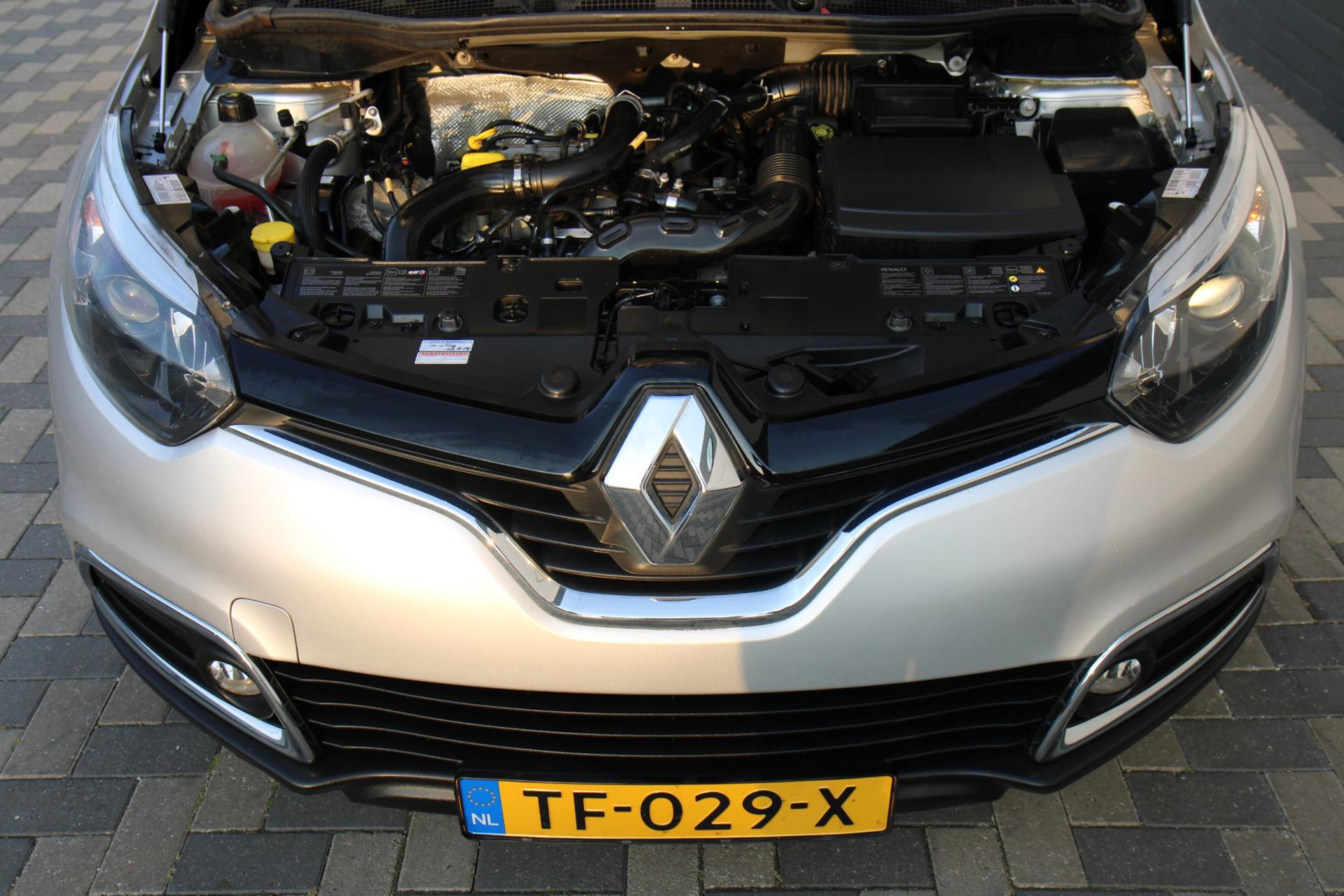 45769430-30.jpg