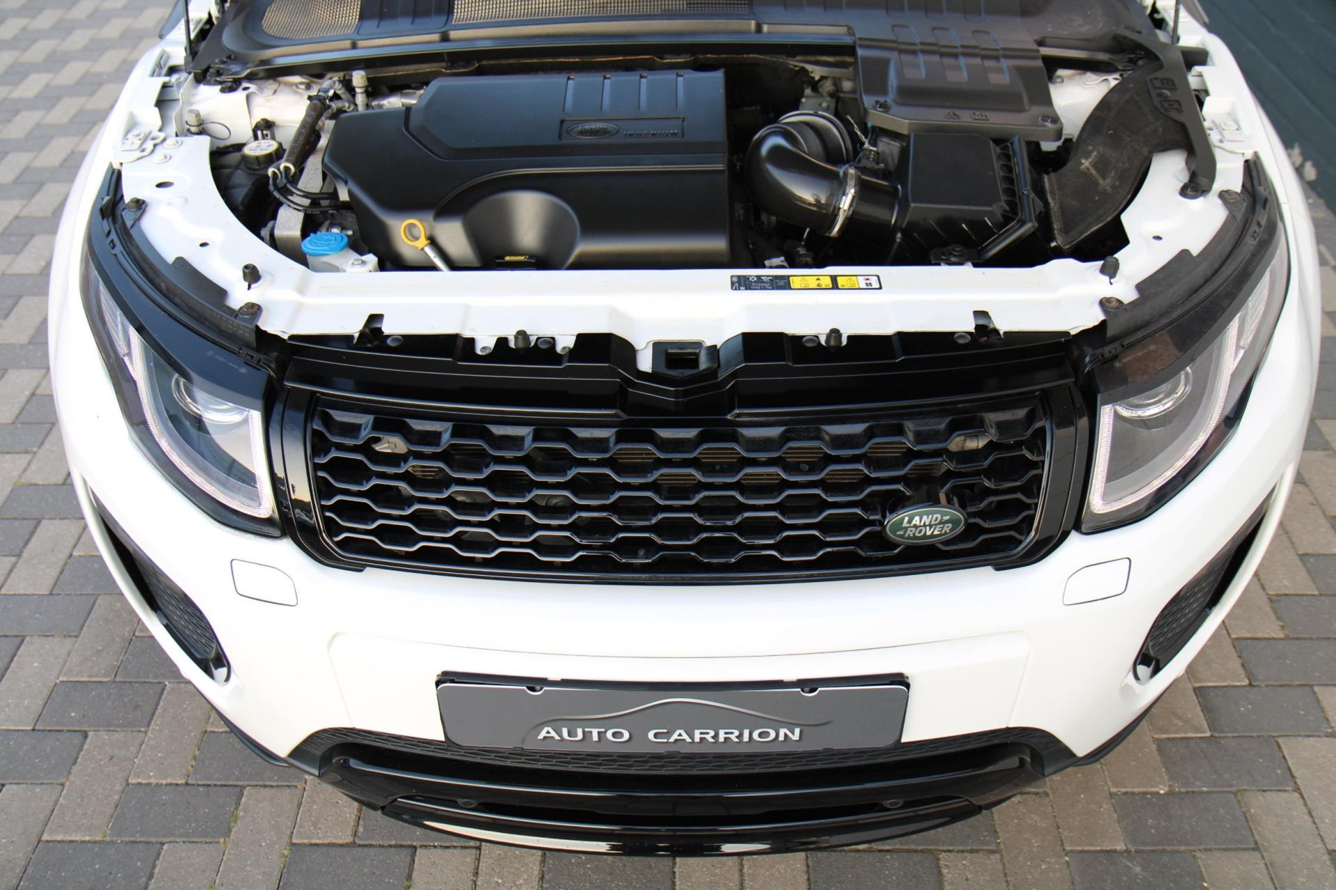 45820093-45.jpg