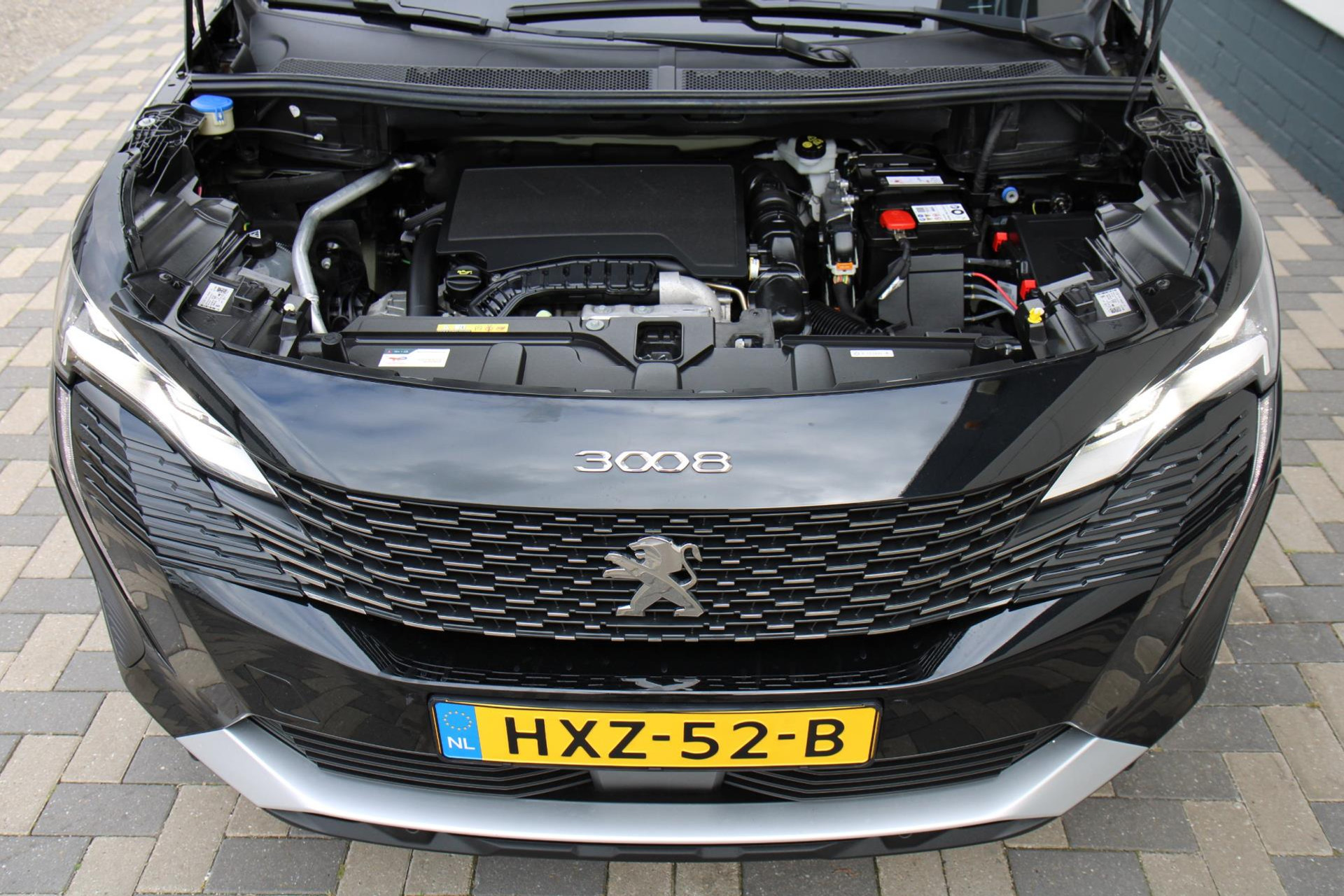 45846942-87.jpg