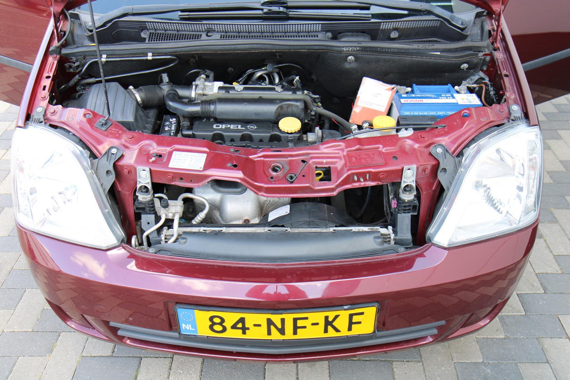 46135064-25.jpg